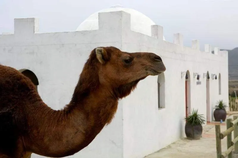 Hotel Cueva Tardienta Monegros-Adults Only