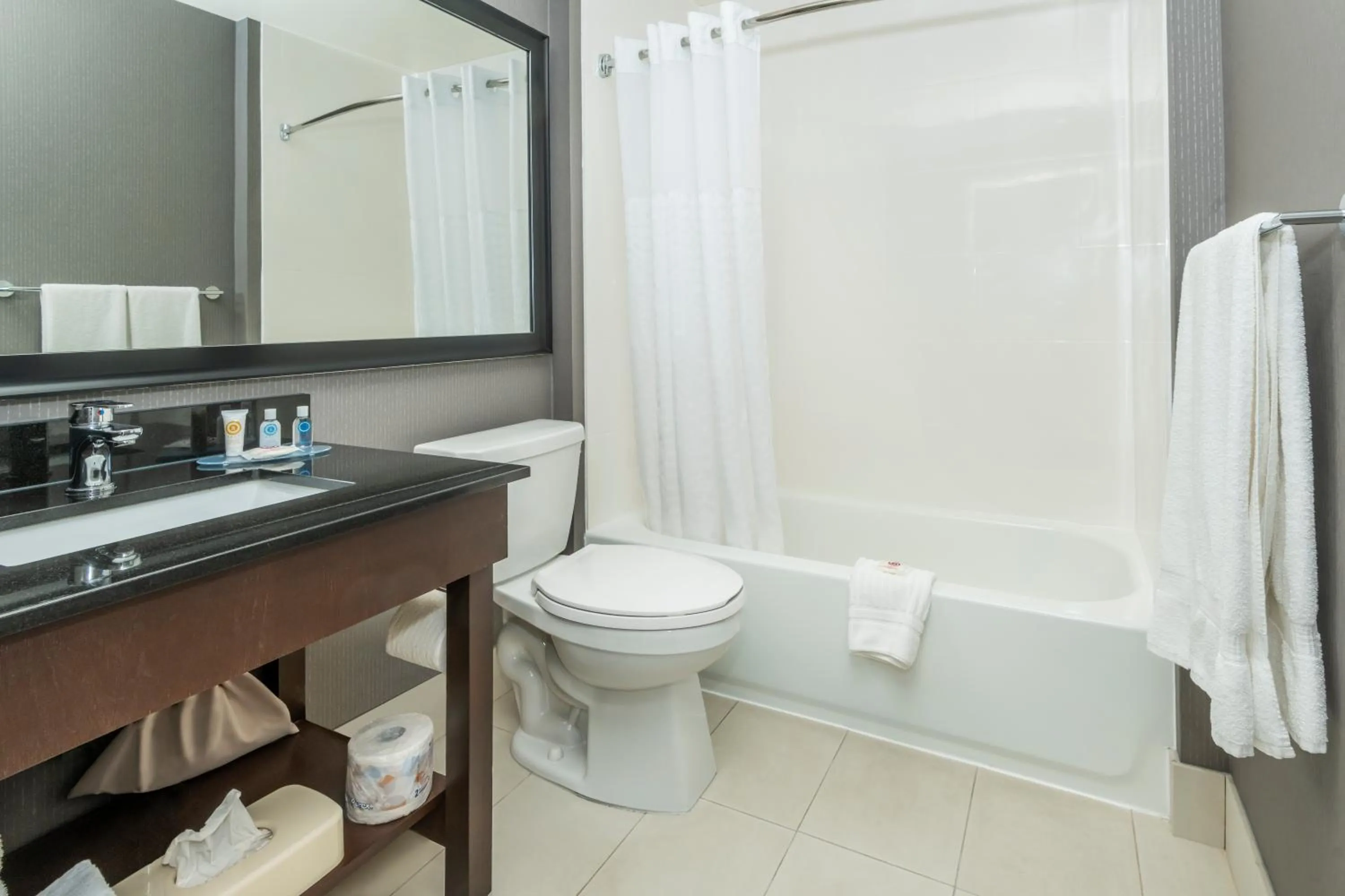 Shower in Comfort Inn West