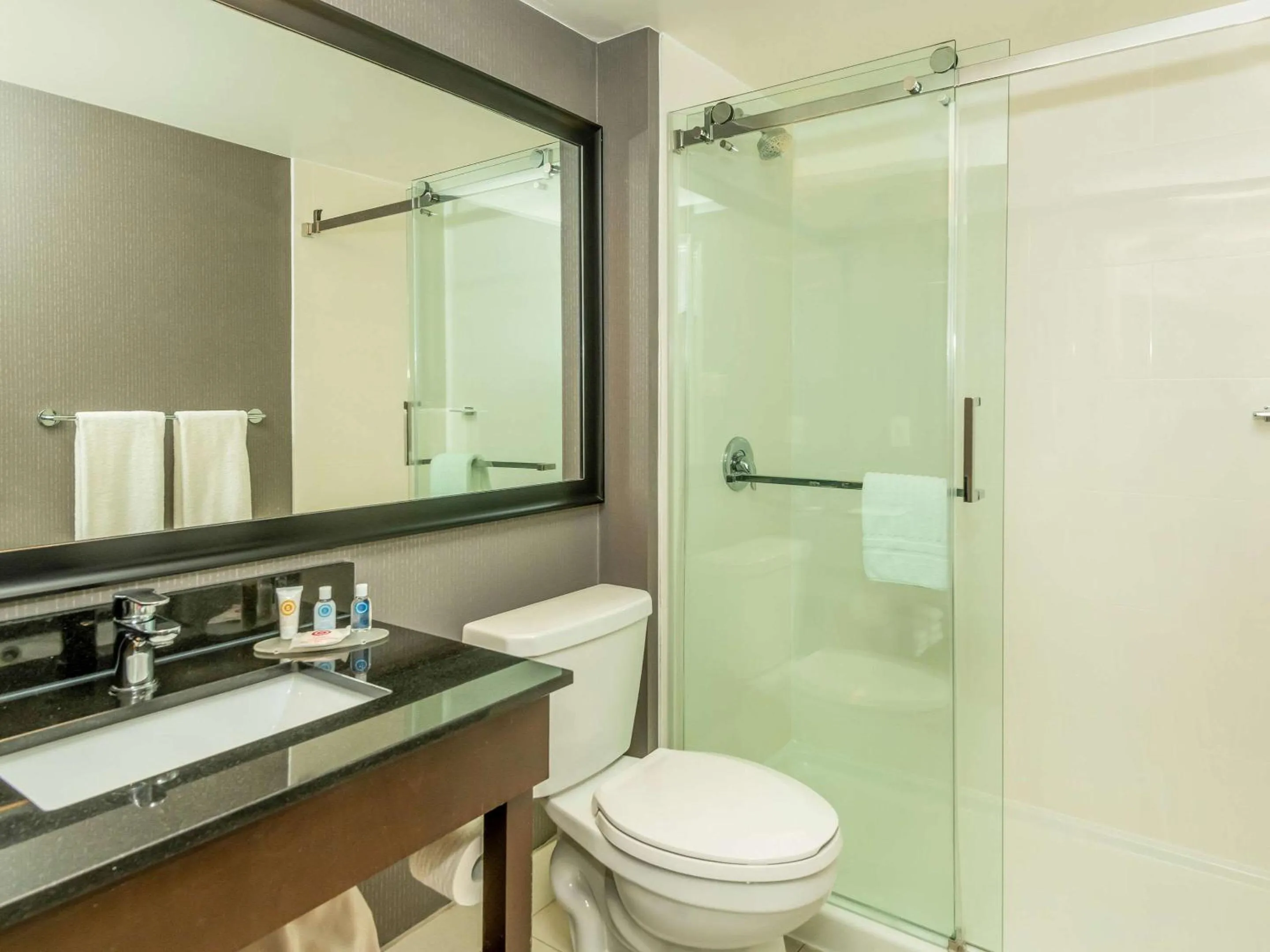 Bathroom in Comfort Inn West