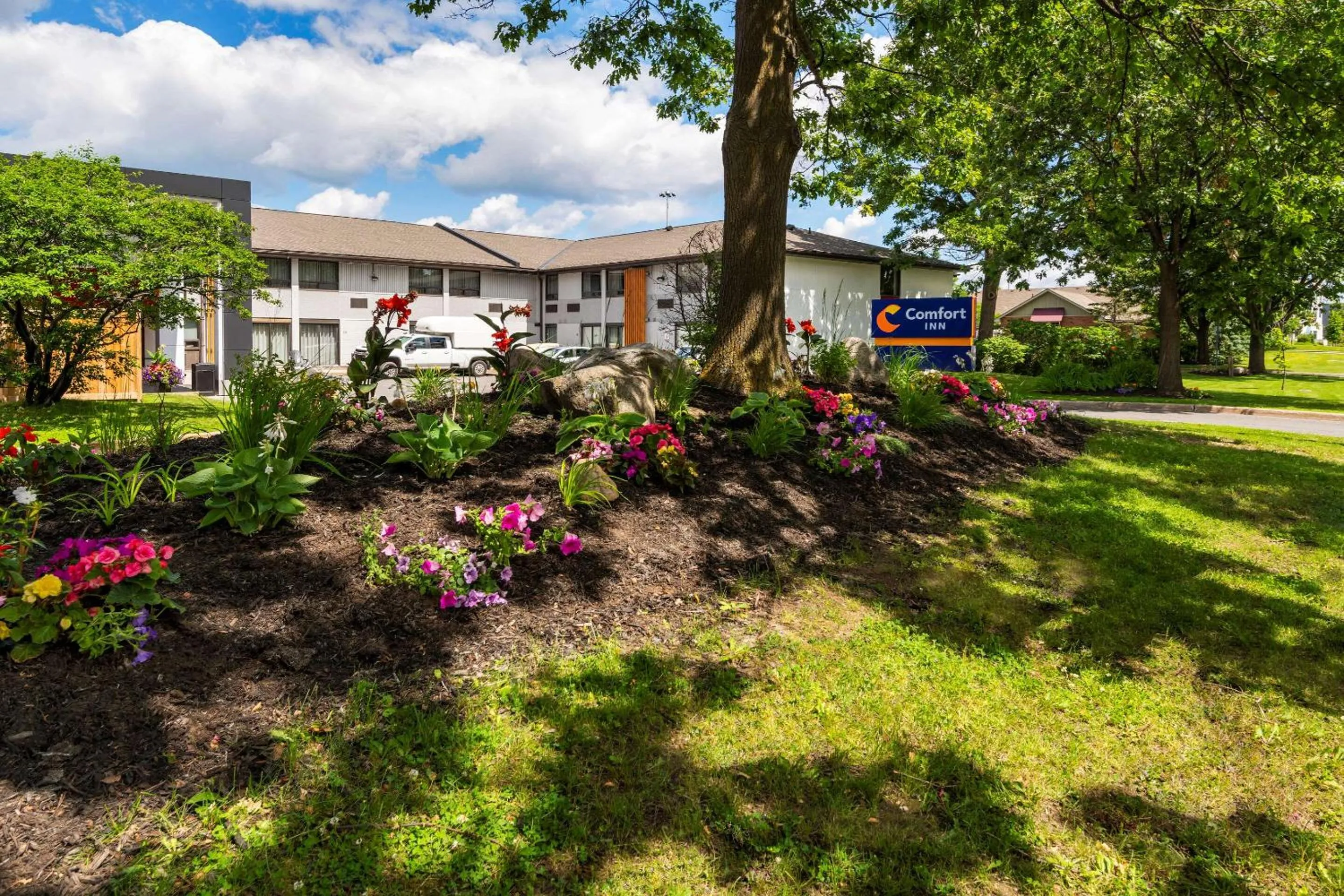 Property building in Comfort Inn West