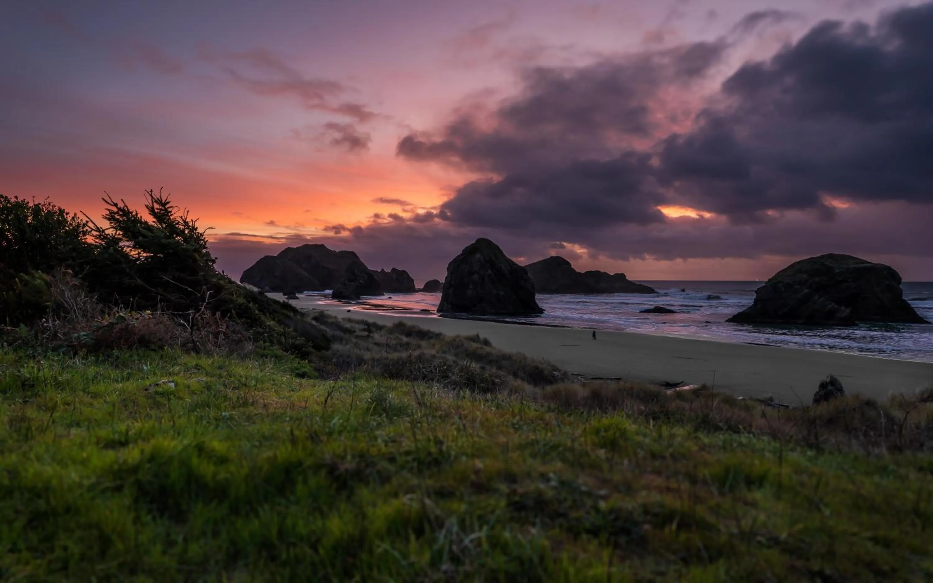 Natural landscape in Gold Beach Inn
