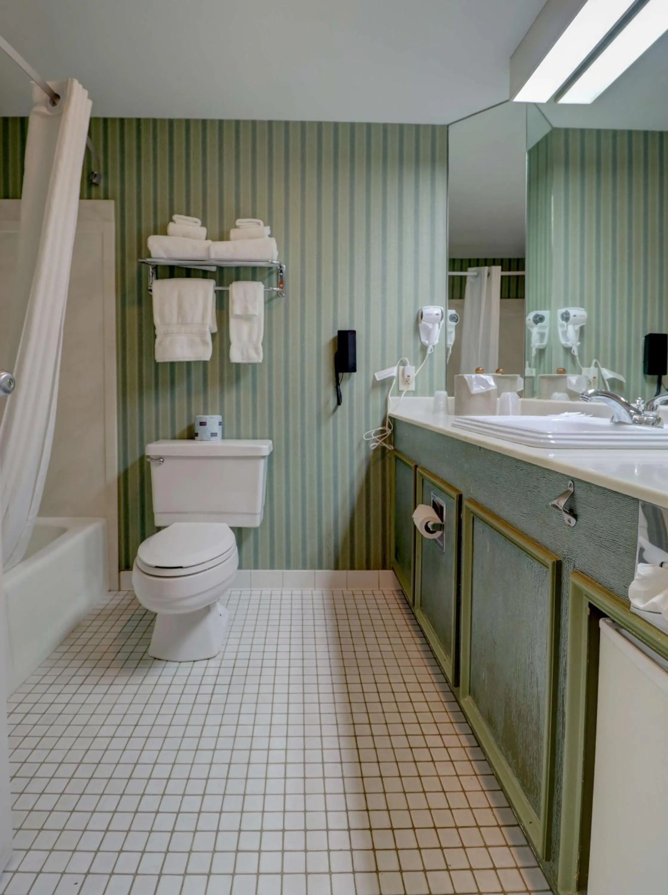 Premium 2 Queens in Senator Inn & Spa