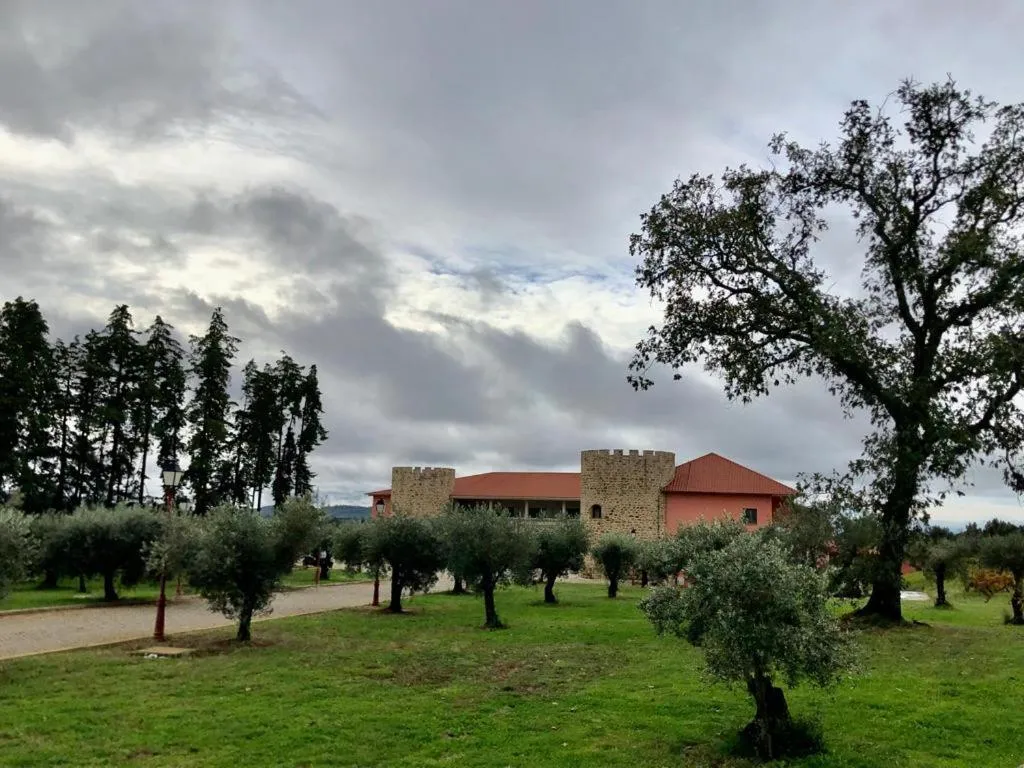 Palace Hotel & Spa Termas de São Tiago