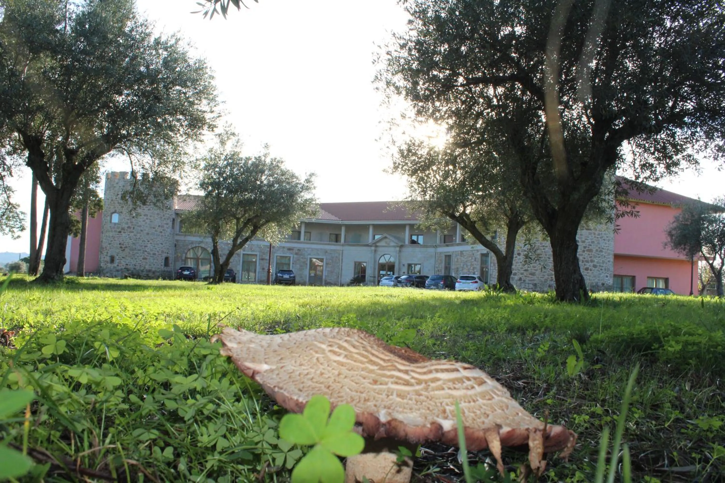 Palace Hotel & Spa Termas de São Tiago