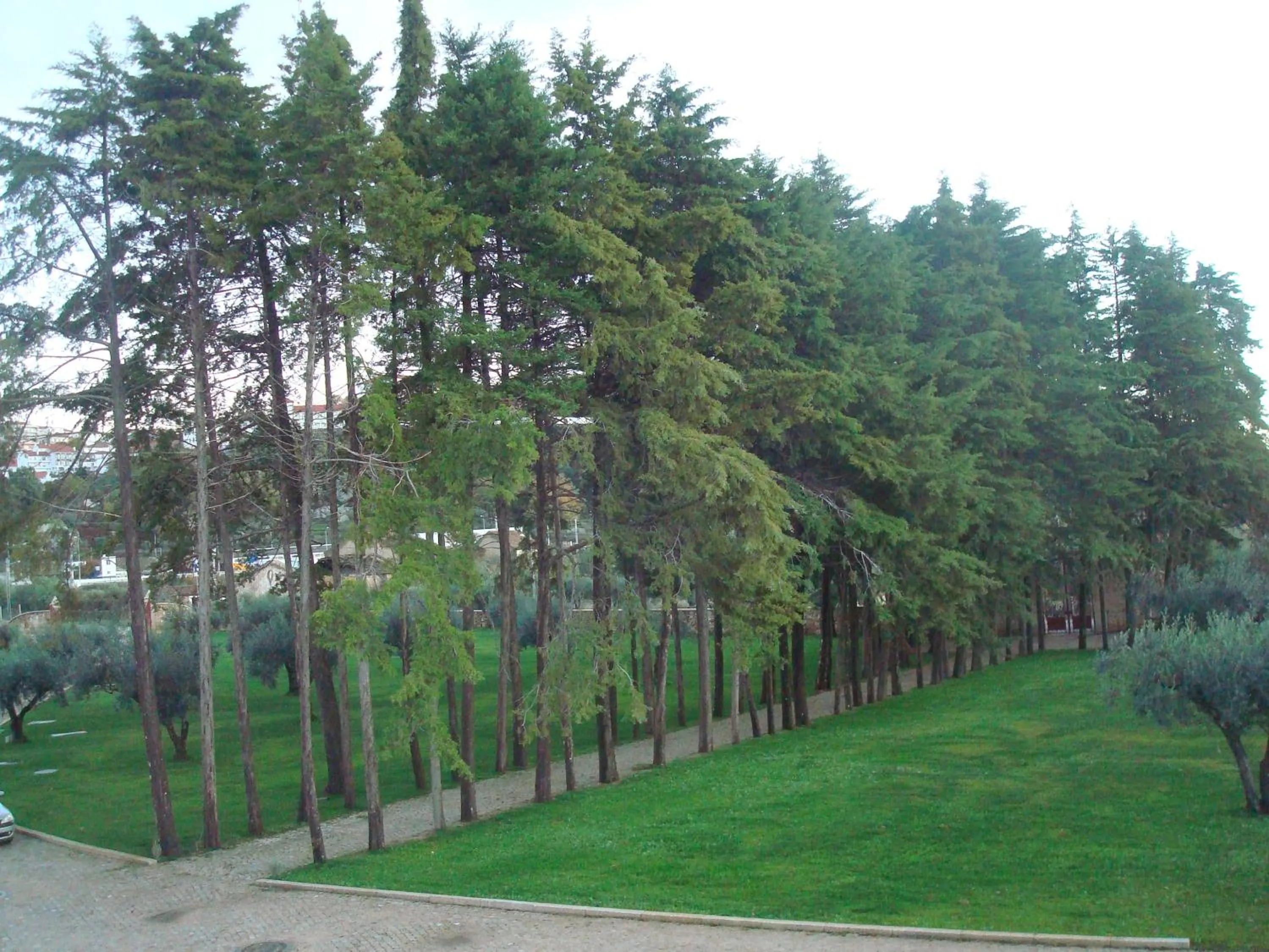 Area and facilities in Palace Hotel & Spa Termas de São Tiago