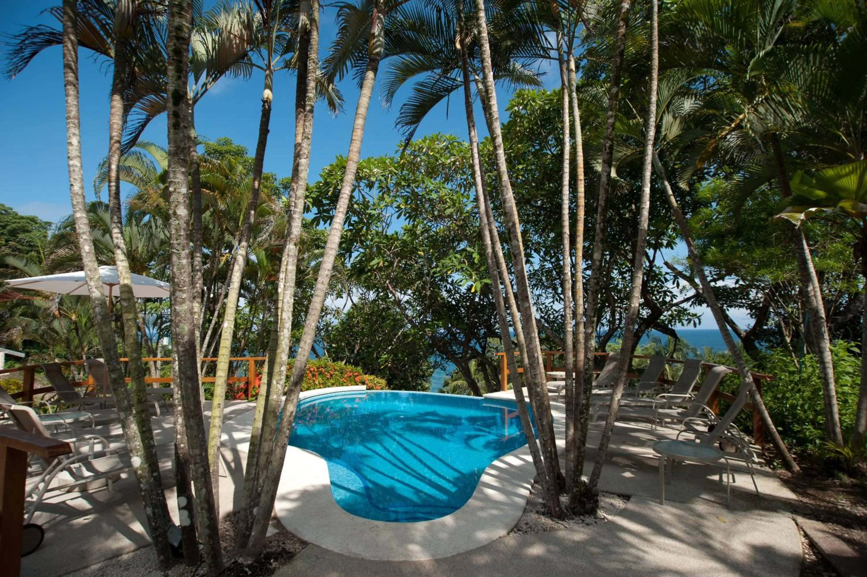 Swimming pool in Tango Mar Beachfront Boutique Hotel & Villas