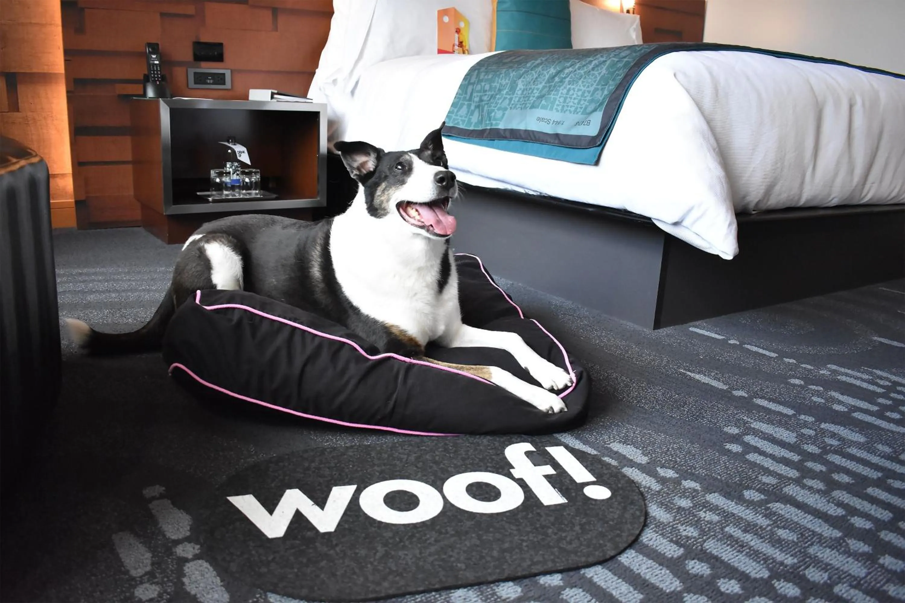 Other, Bed in W Seattle