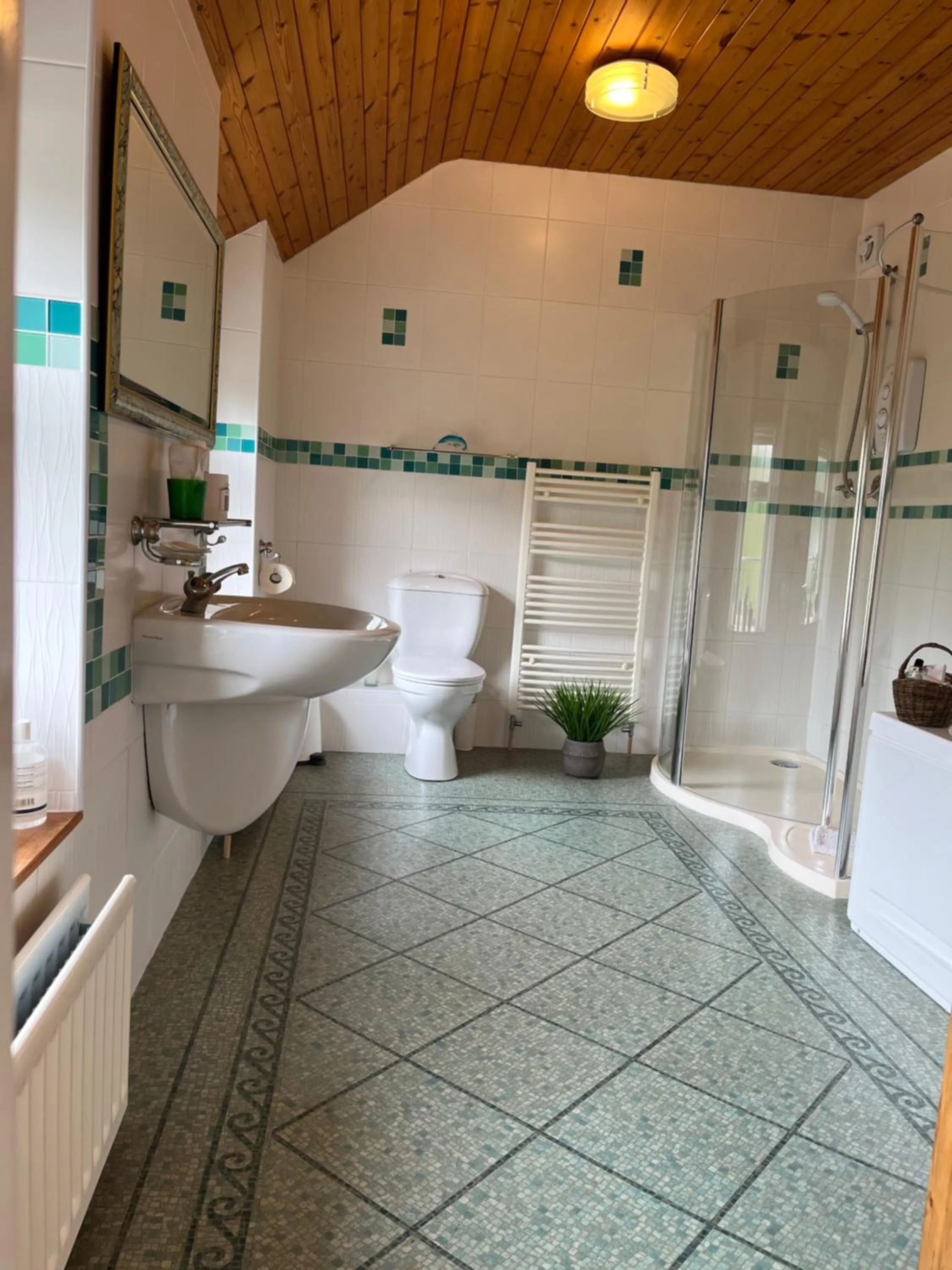 Shower in Old Mill House