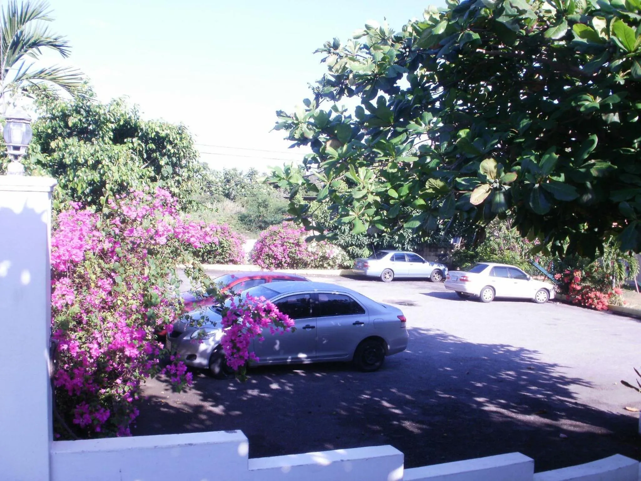 Facade/entrance in Pineapple Court Hotel