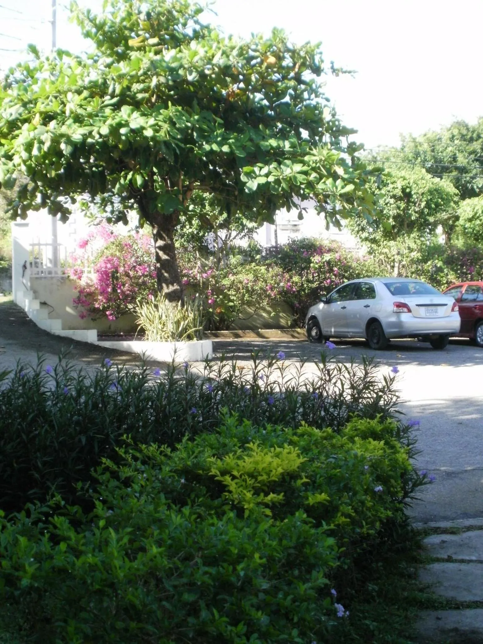 Area and facilities in Pineapple Court Hotel