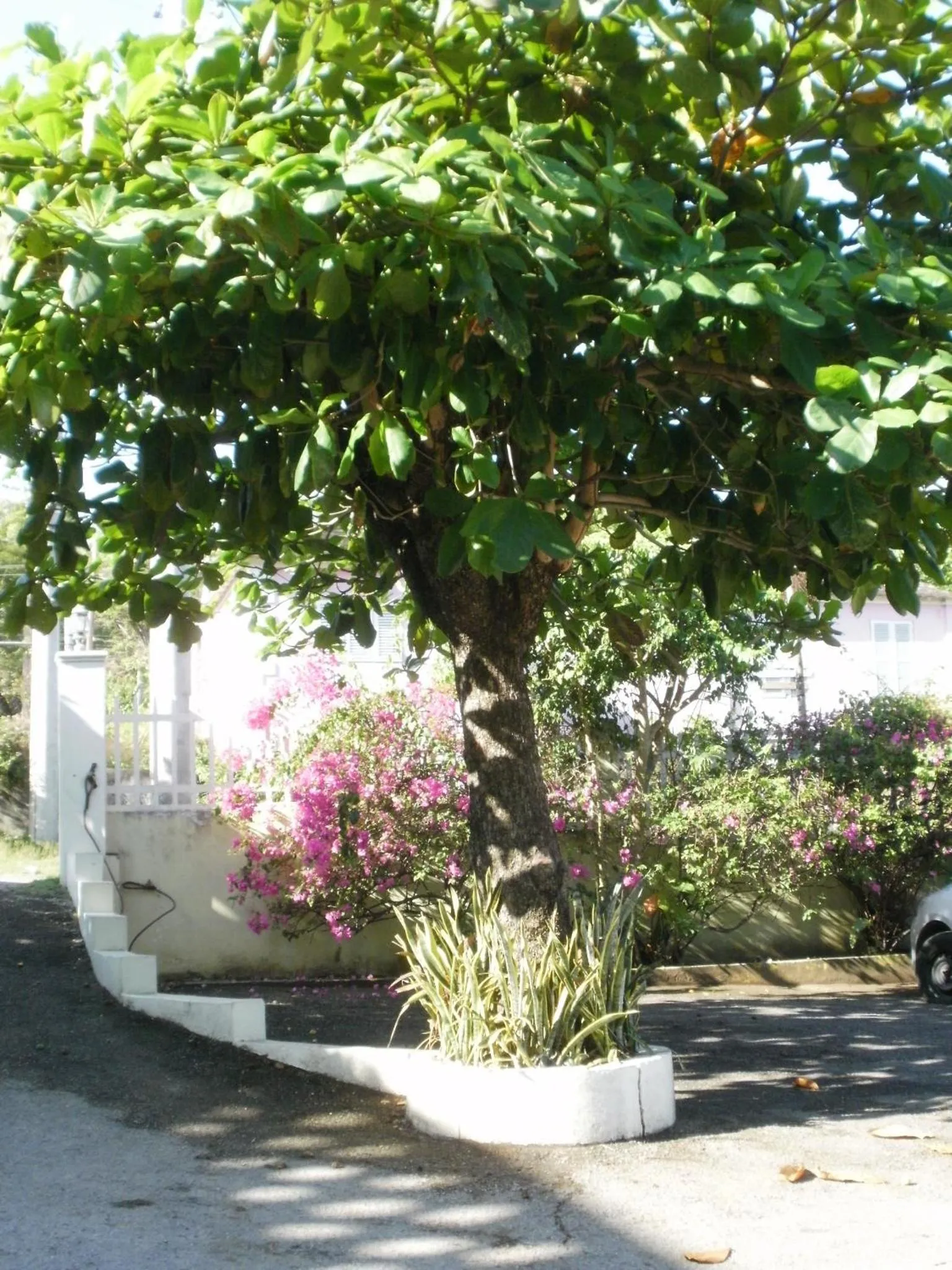 Area and facilities in Pineapple Court Hotel