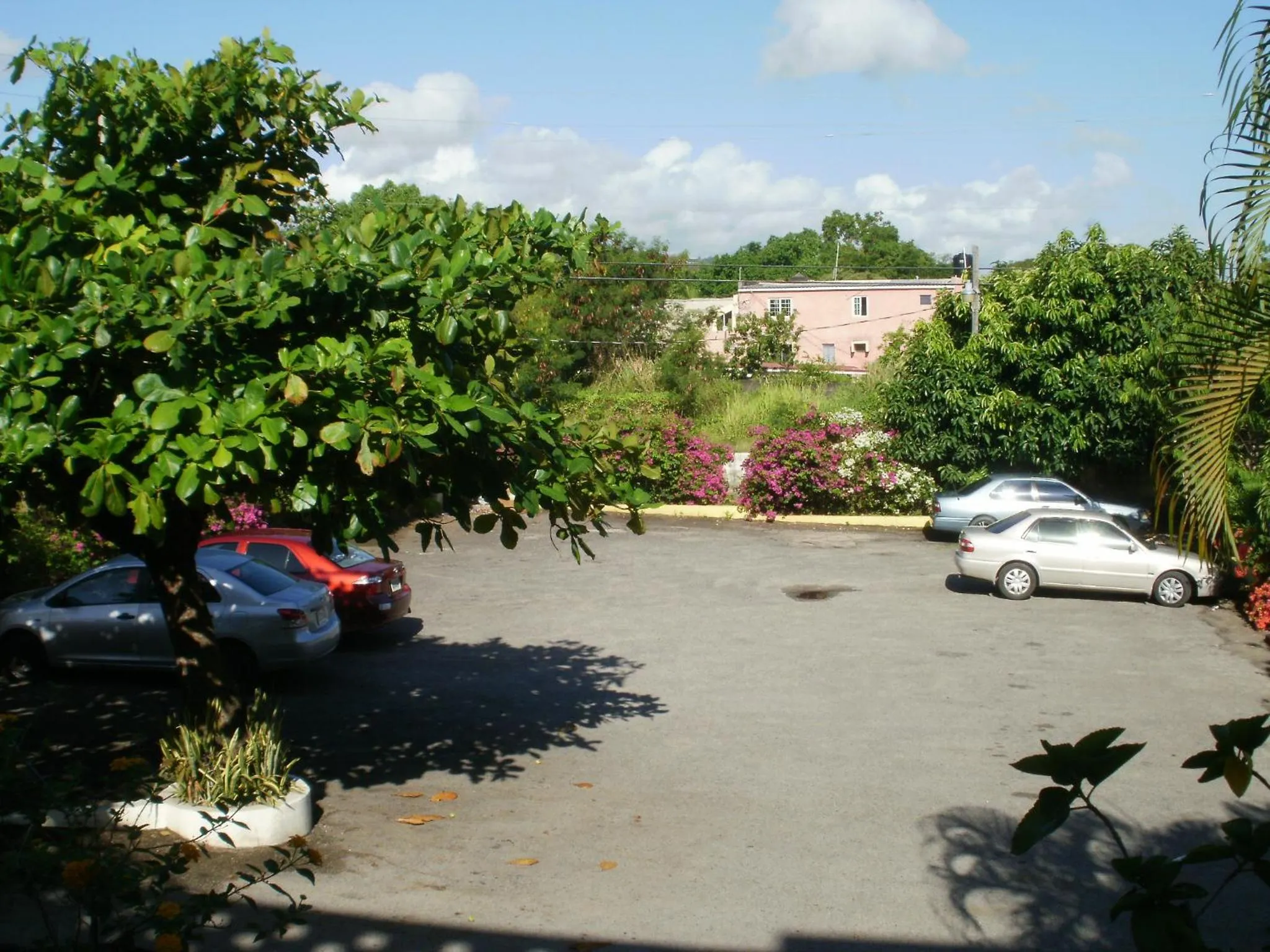 Day in Pineapple Court Hotel