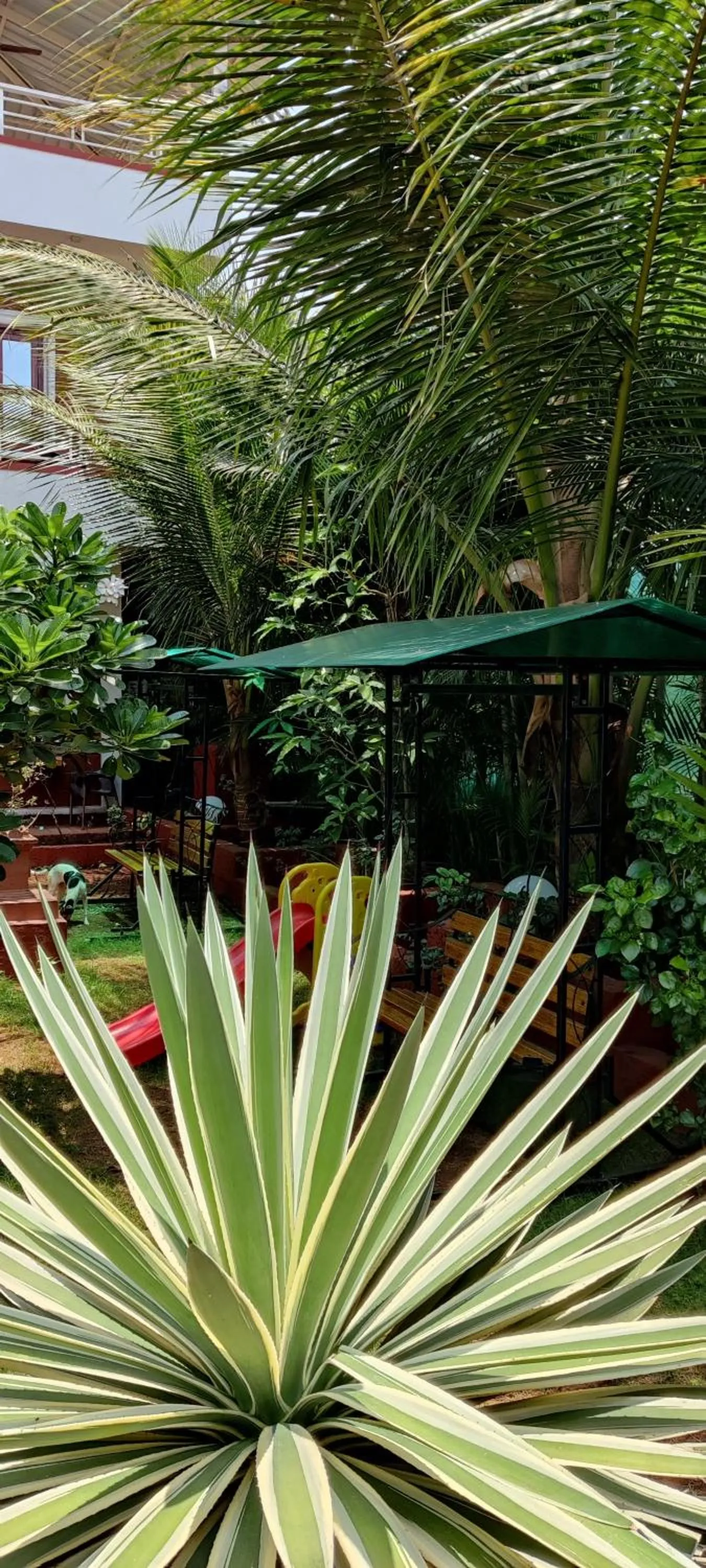 Garden in Redstone House by Oxystays Hospitality