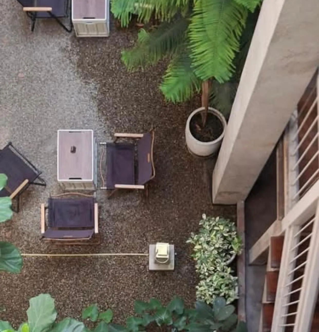 Garden view in Khunluang Hostel