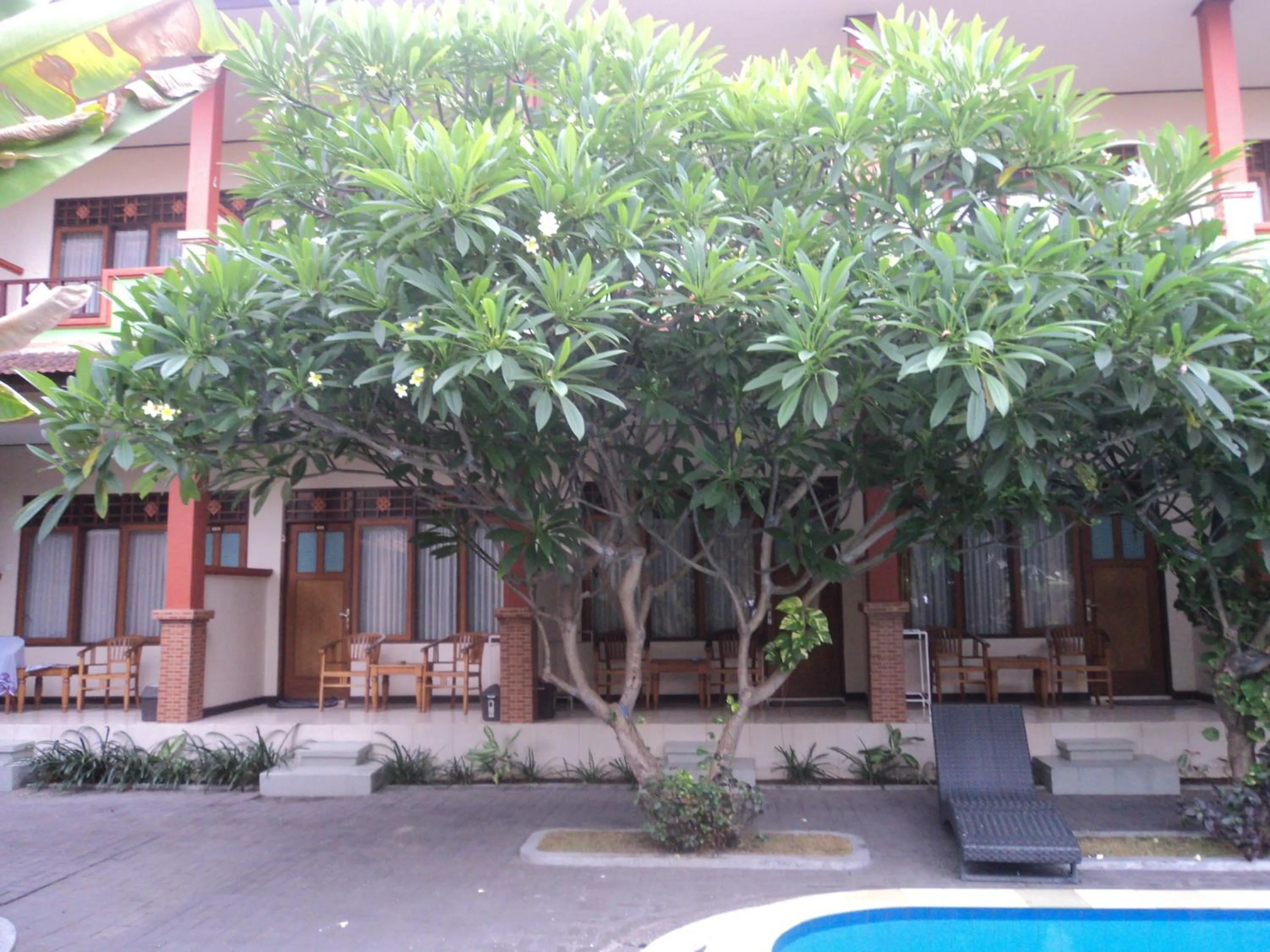 Garden in Bali Diva Hotel Kuta