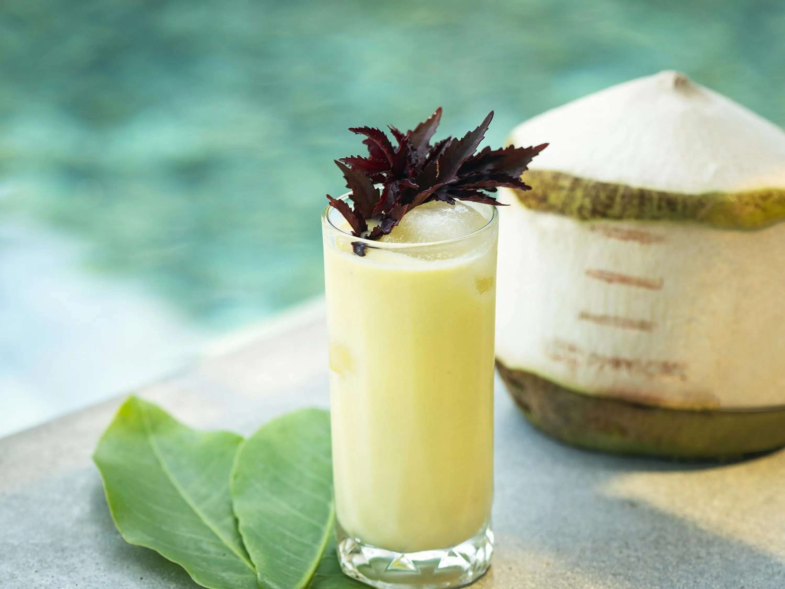 Drinks in Explorar Koh Phangan - Adults Only Resort and Spa