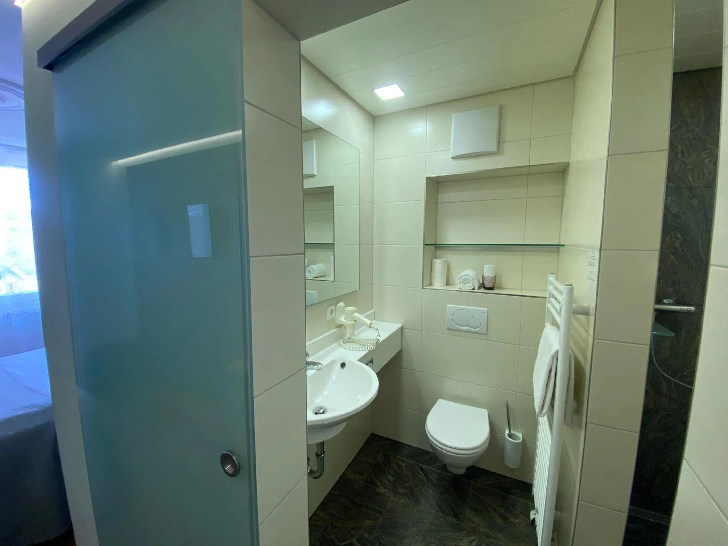 Toilet in Boutique - Hotel Zum Schloss