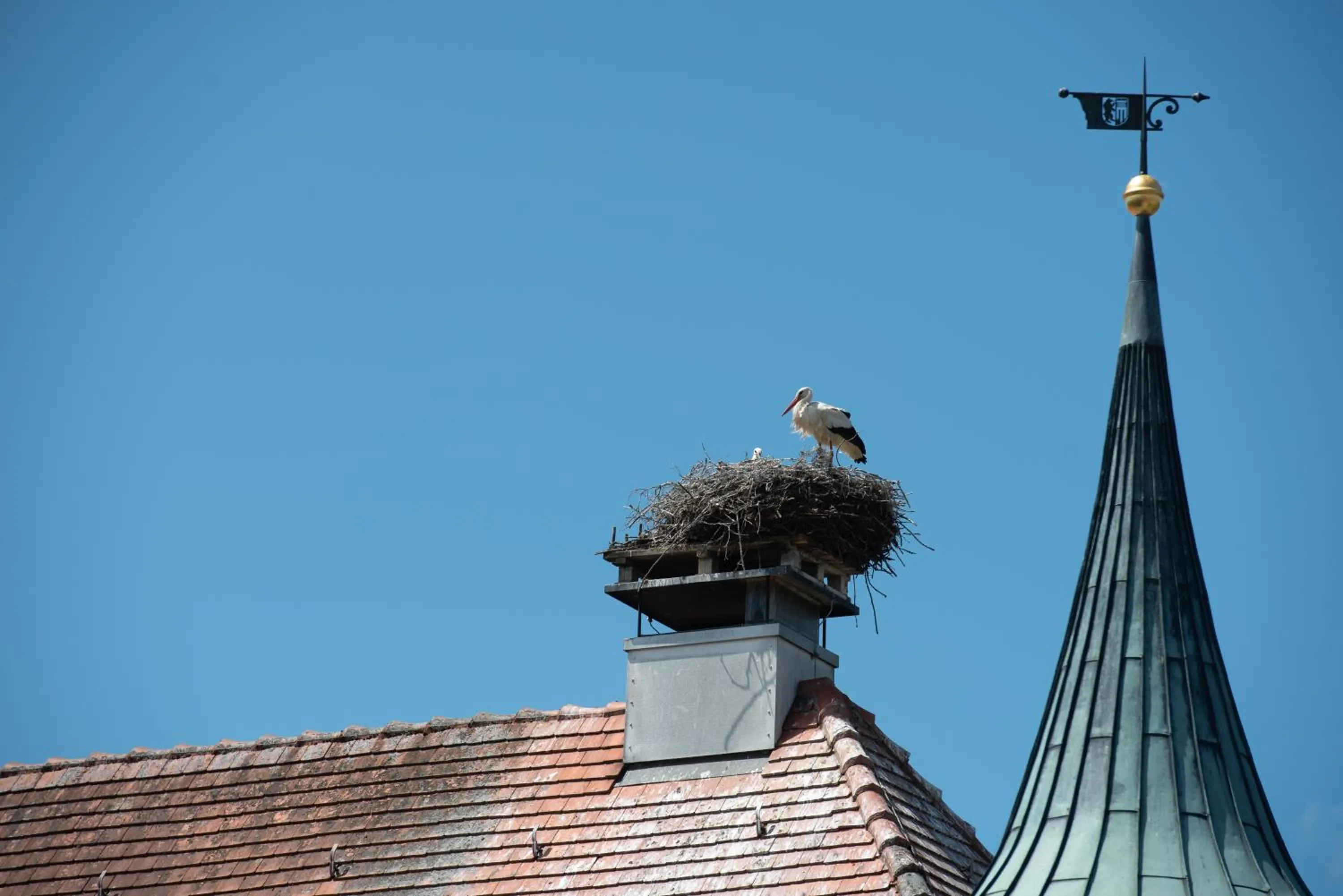 Coffee/tea facilities in Boutique - Hotel Zum Schloss