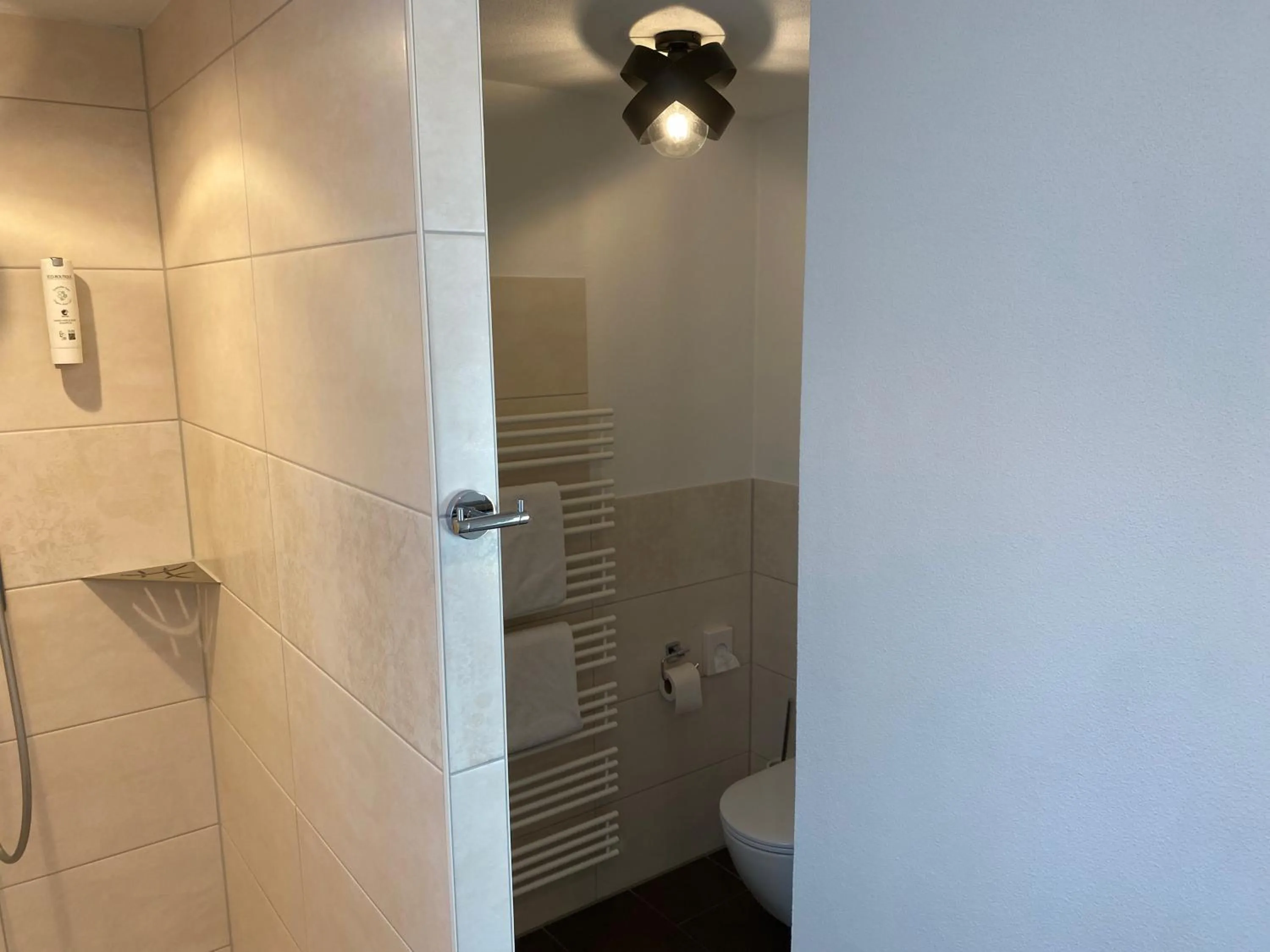 Toilet in Boutique - Hotel Zum Schloss