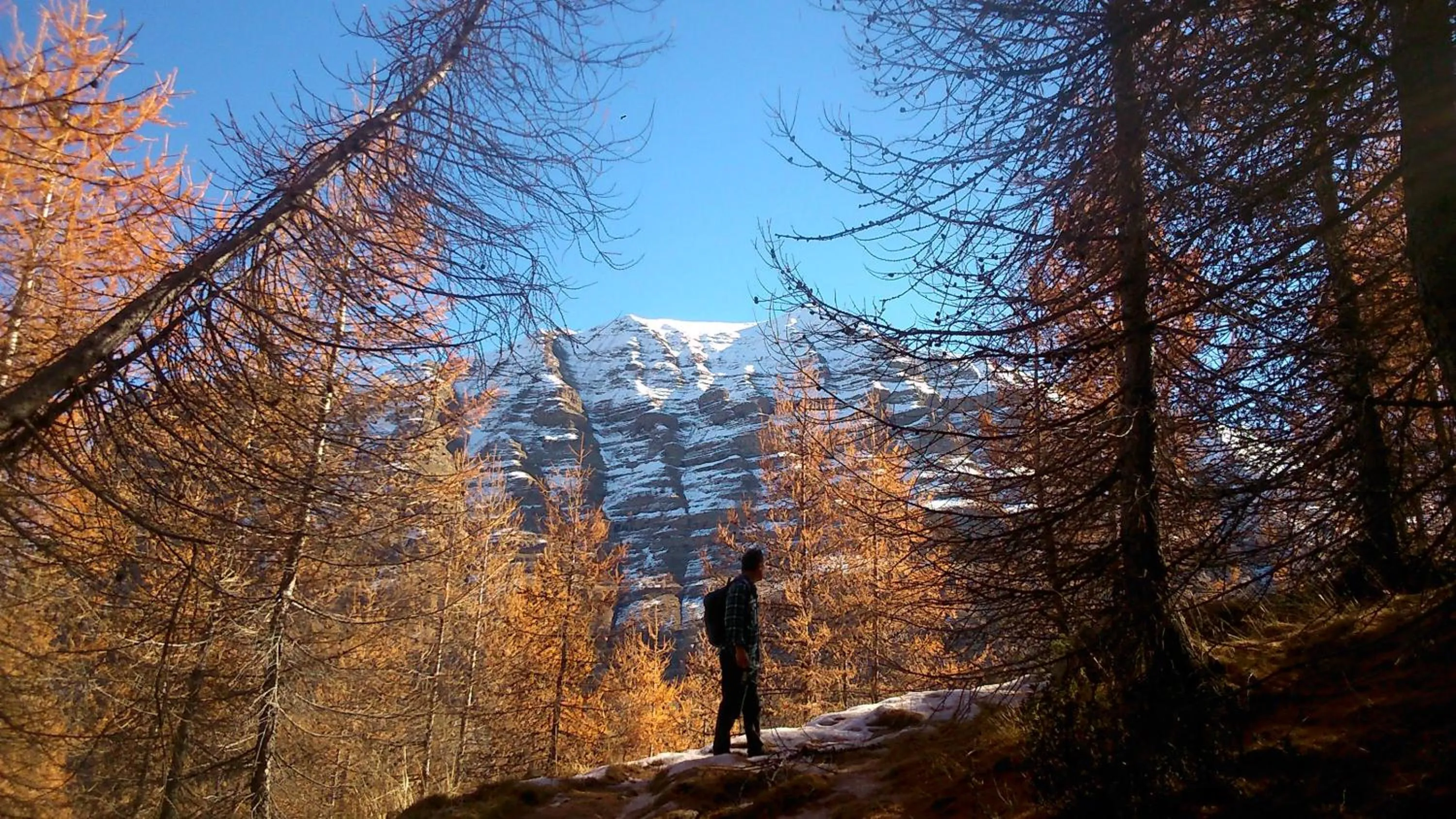 Natural landscape in Hôtel Restaurant Gîtes Les 5 Saisons
