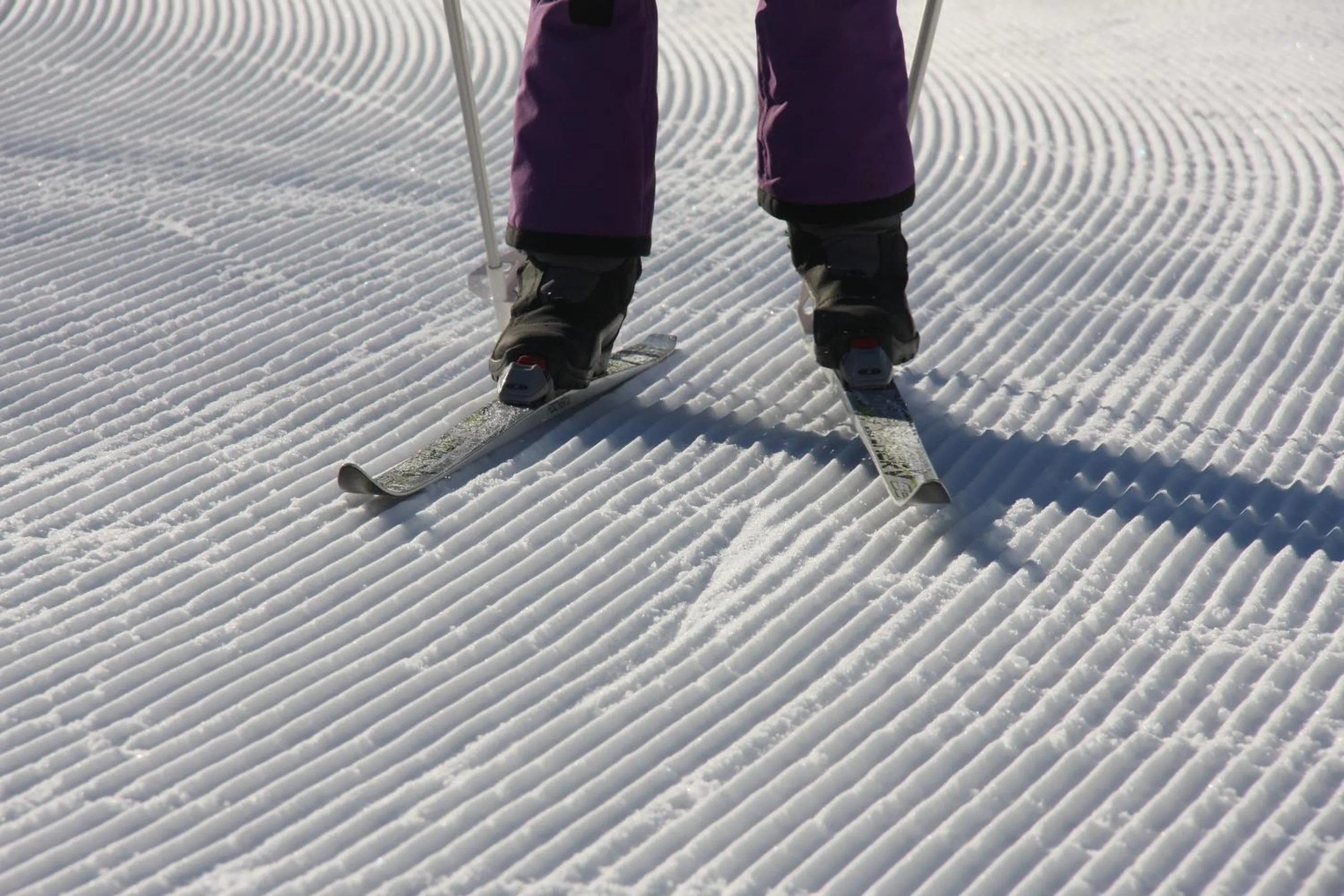 People in Hôtel Restaurant Gîtes Les 5 Saisons