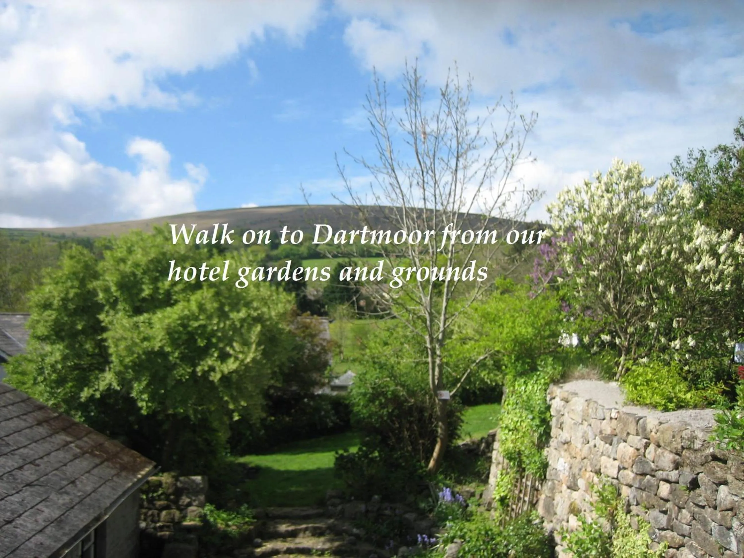 Day in The Oxenham Arms Hotel Devon