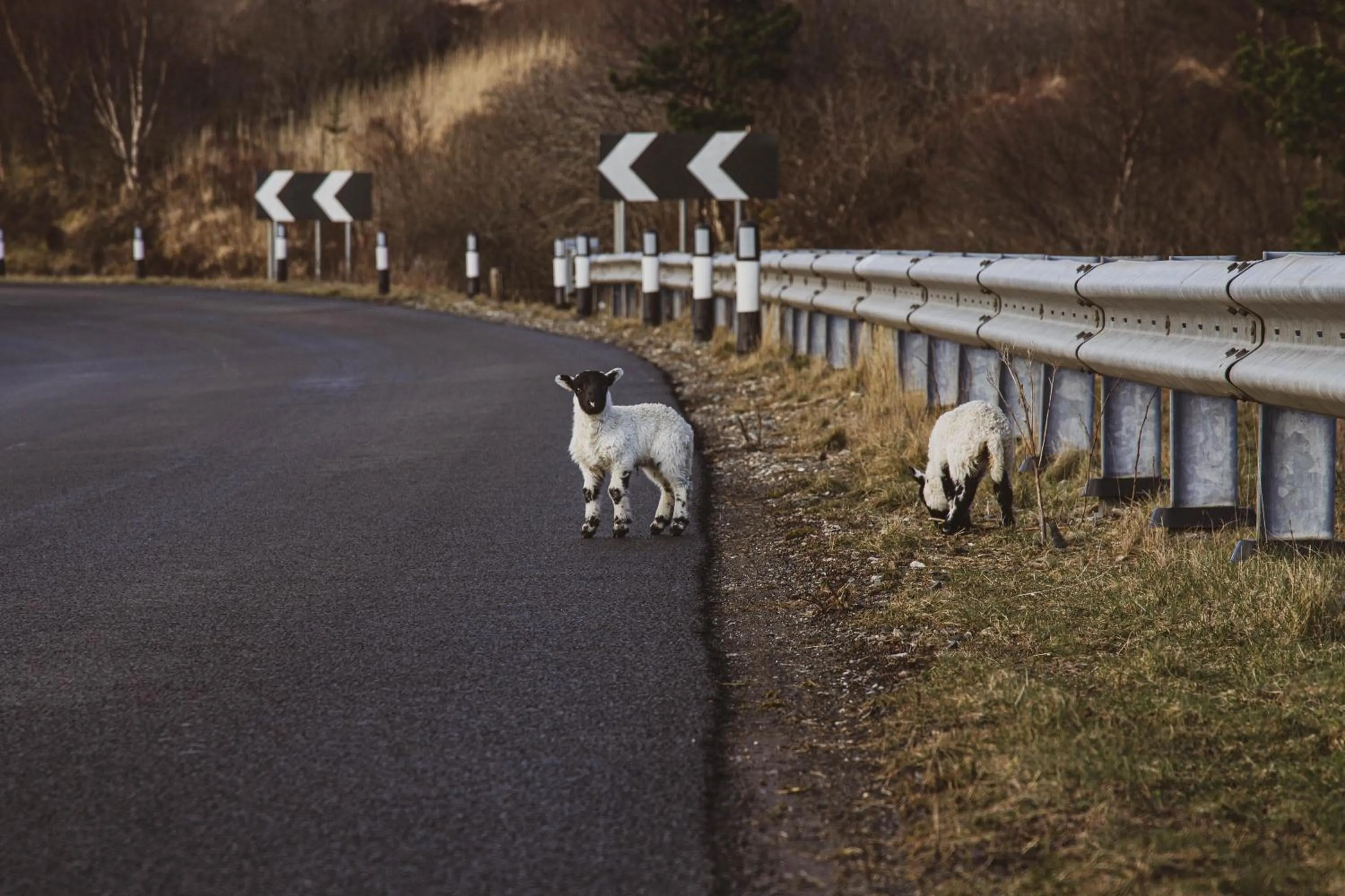 Neighbourhood in Broadford Hotel