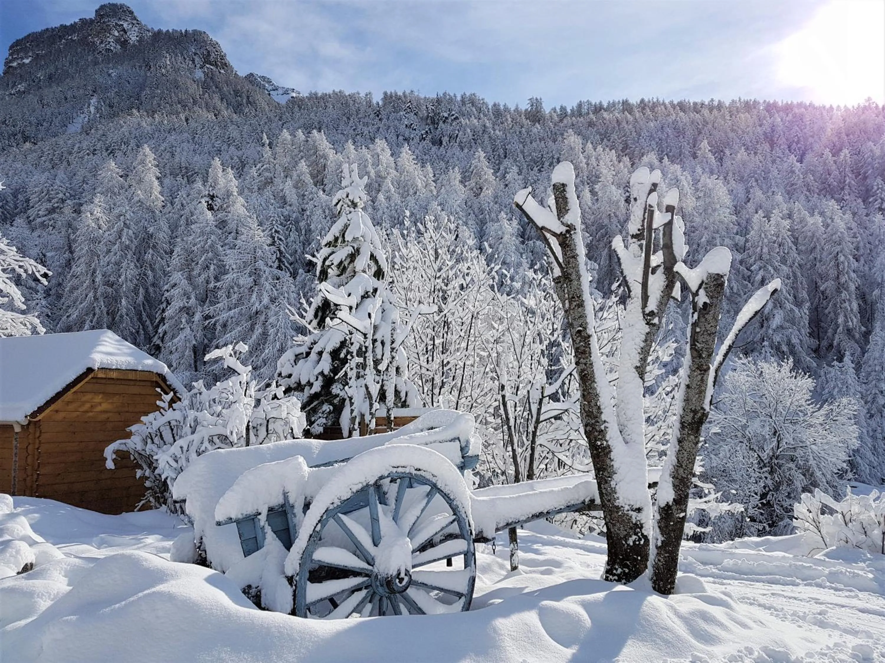Natural landscape in LA JARBELLE - Gîte et Spa