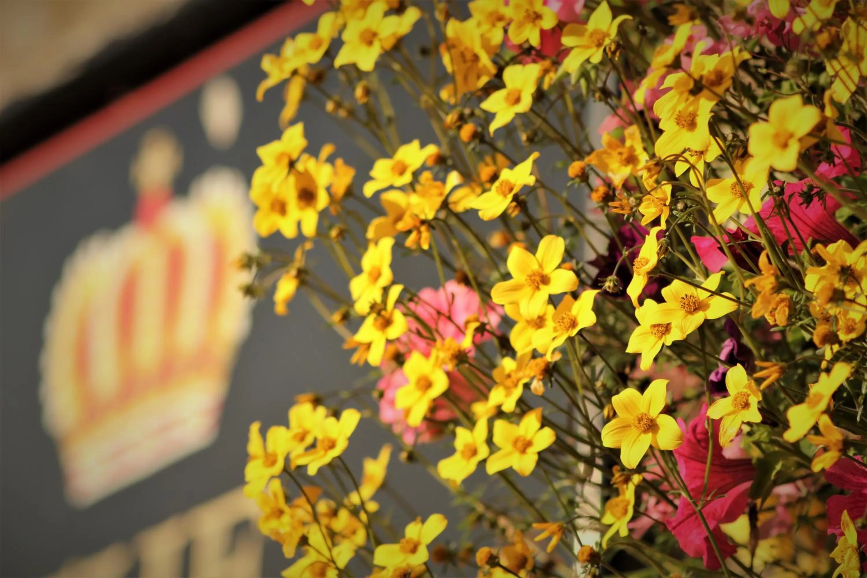 Decorative detail in The Crown Inn