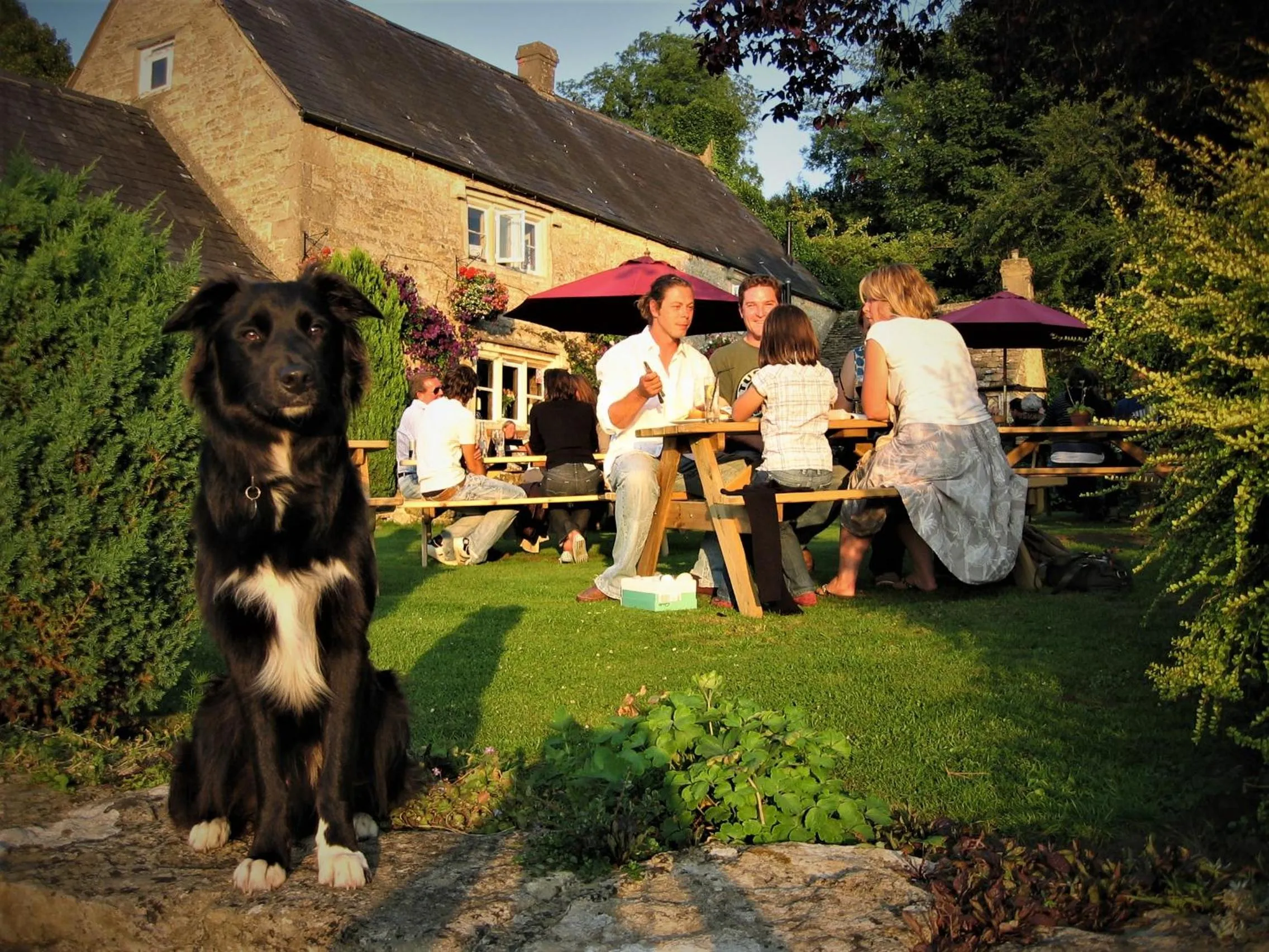 Garden in The Crown Inn
