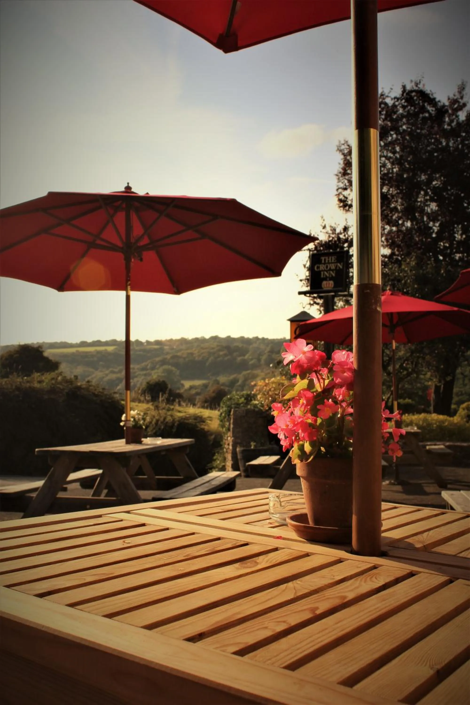 Garden in The Crown Inn