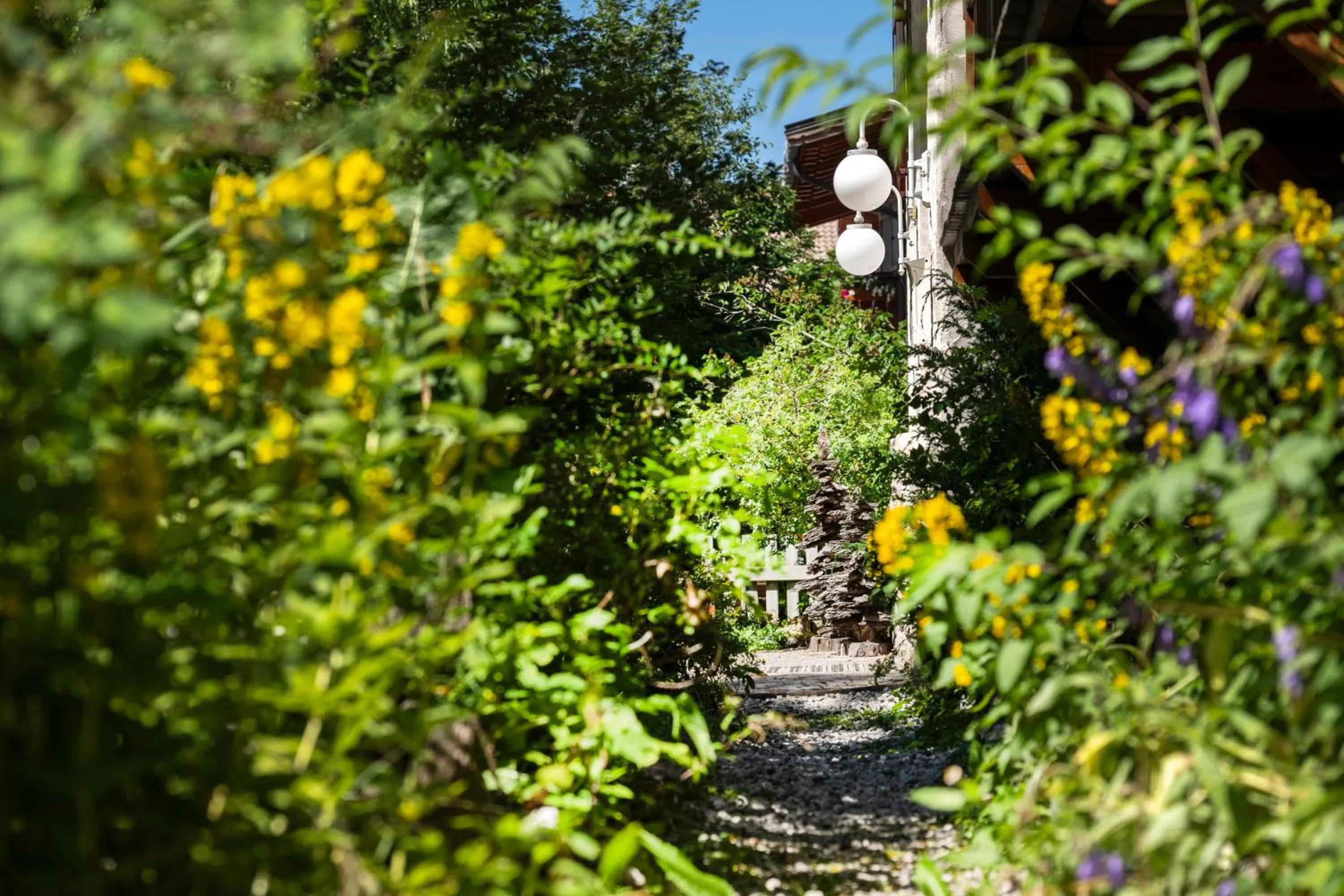 Garden view in Residence Chris Appart