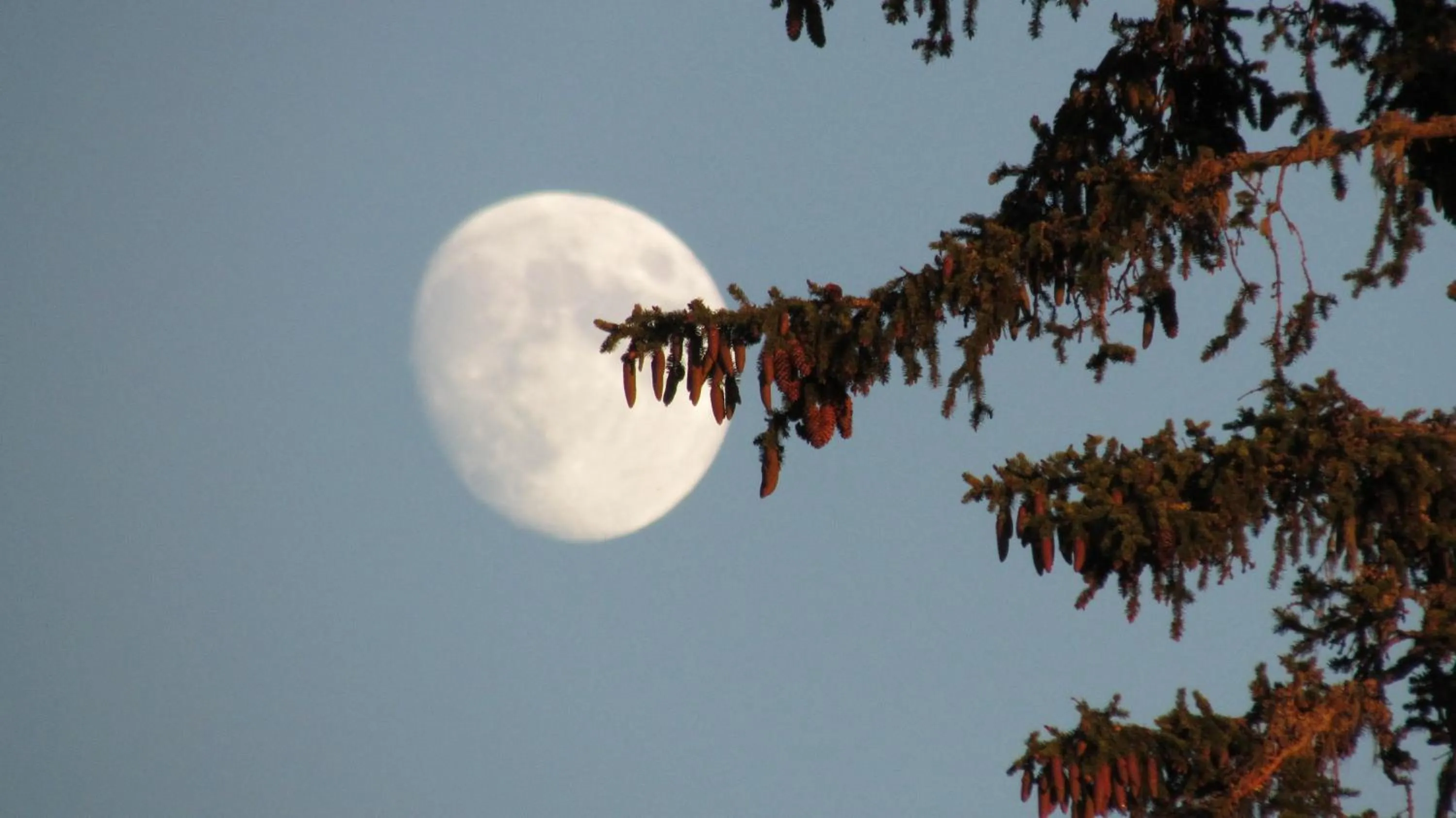 View (from property/room) in Residence Chris Appart