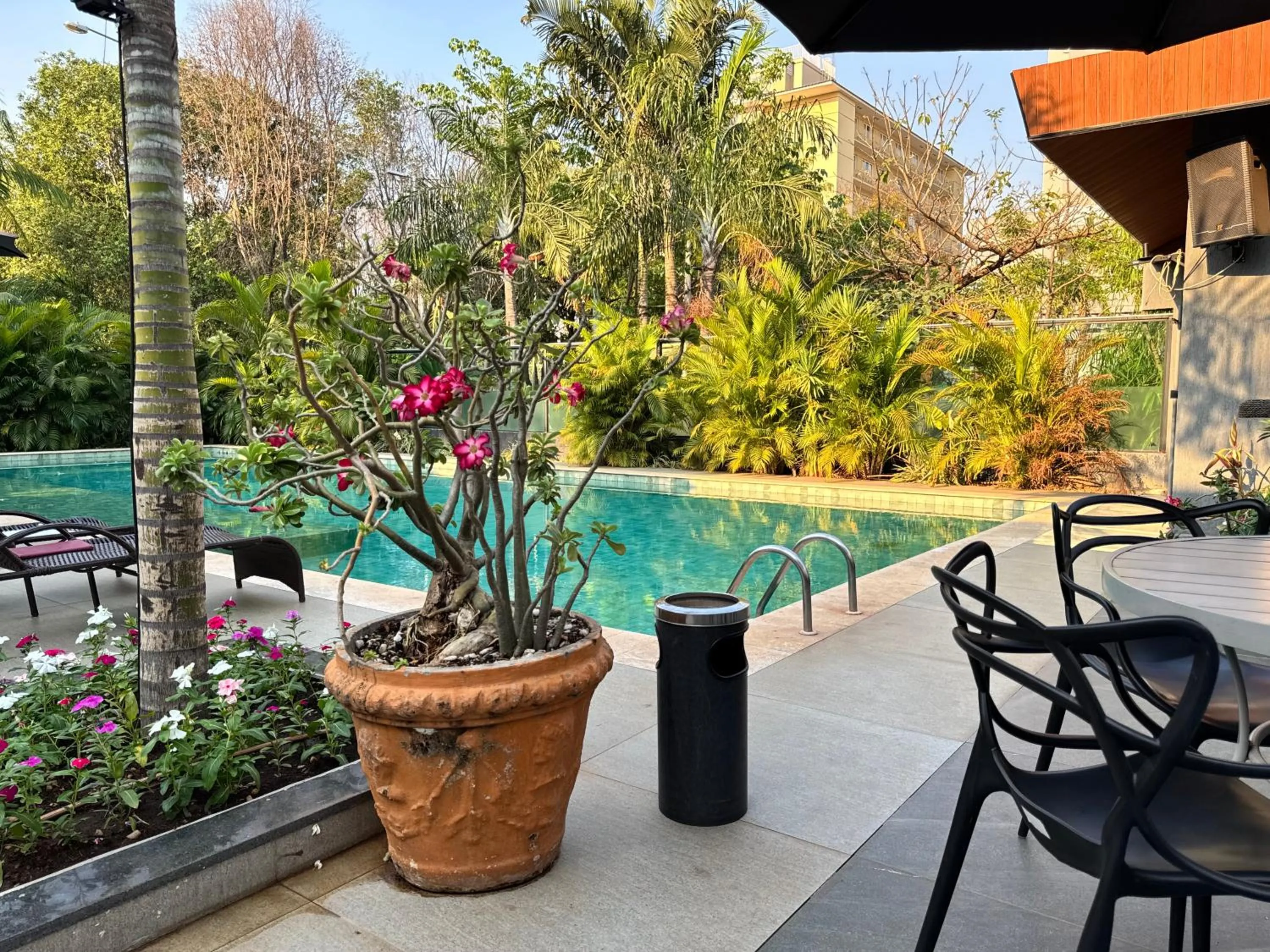 Swimming pool in Hotel Girassol Plaza