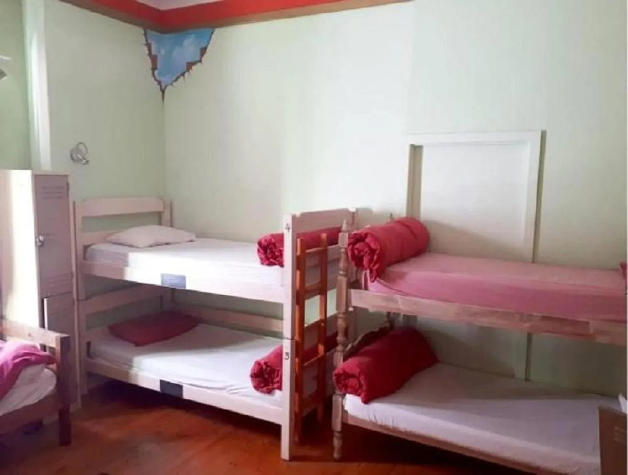 bunk bed, Bed in Big Blue Backpackers
