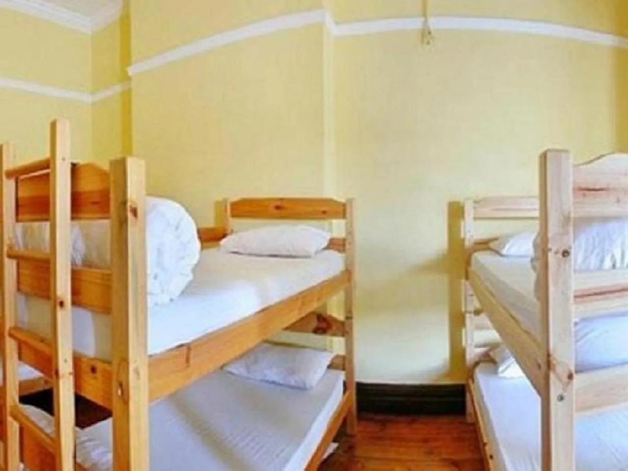 bunk bed, Bed in Big Blue Backpackers