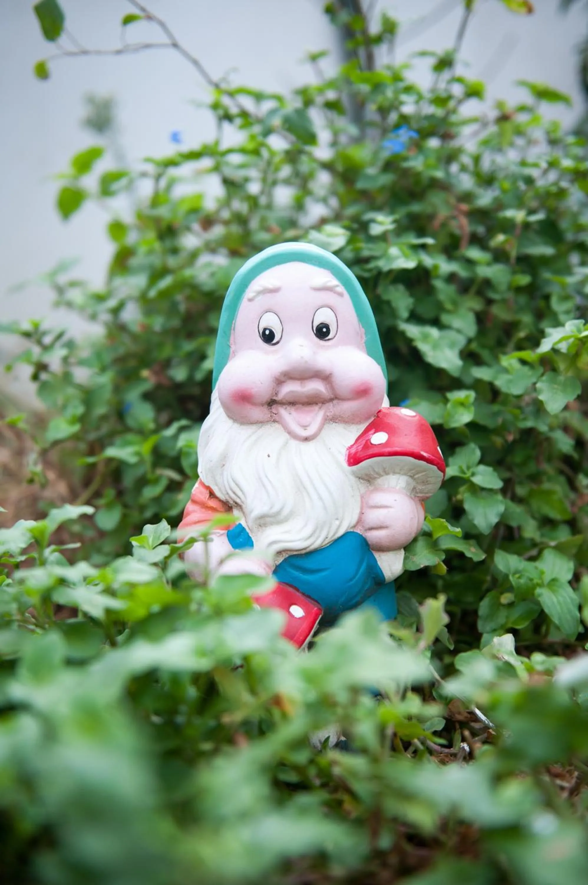 Big Blue Backpackers