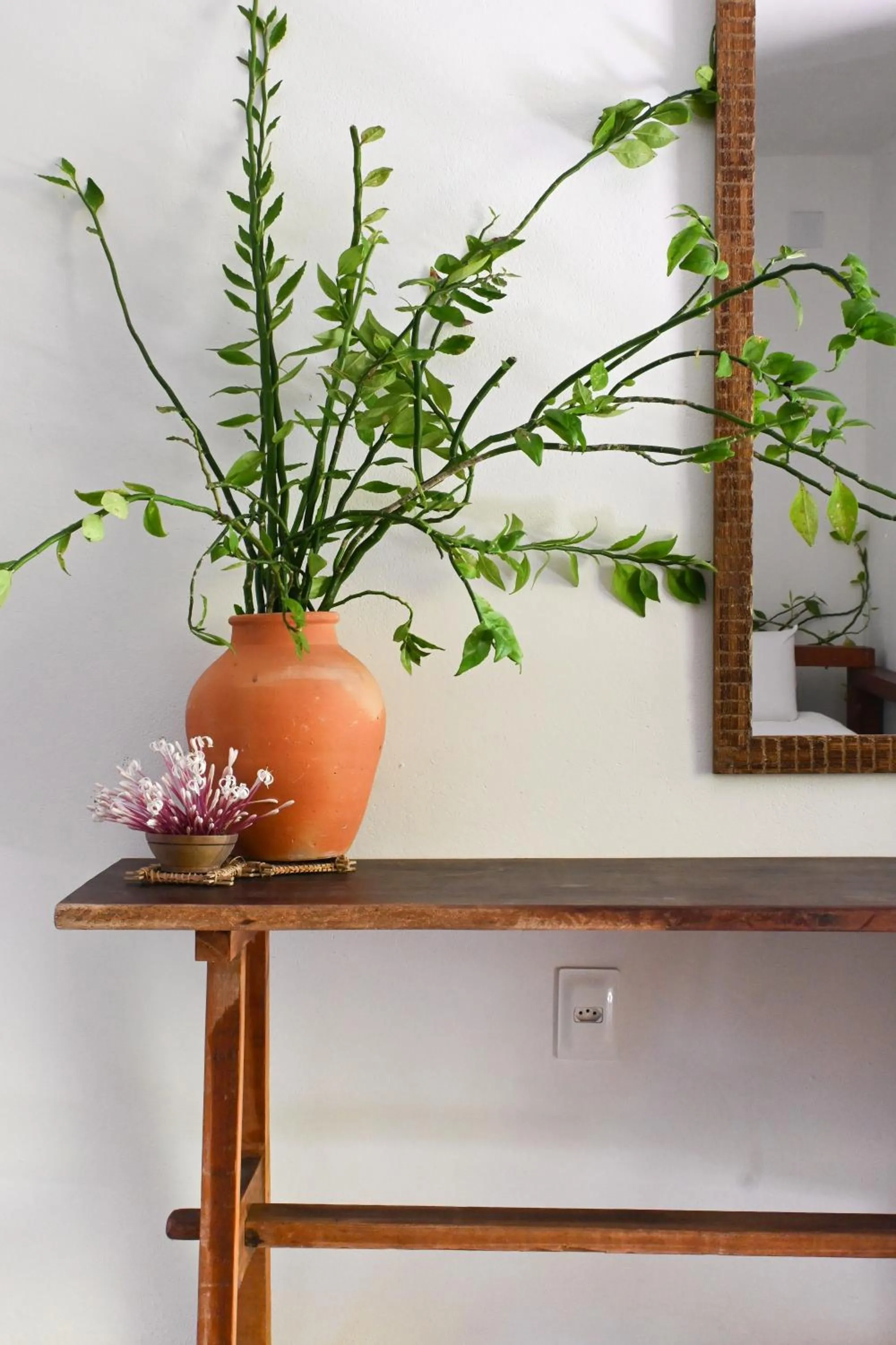 Decorative detail in Pousada Habitat Caraíva