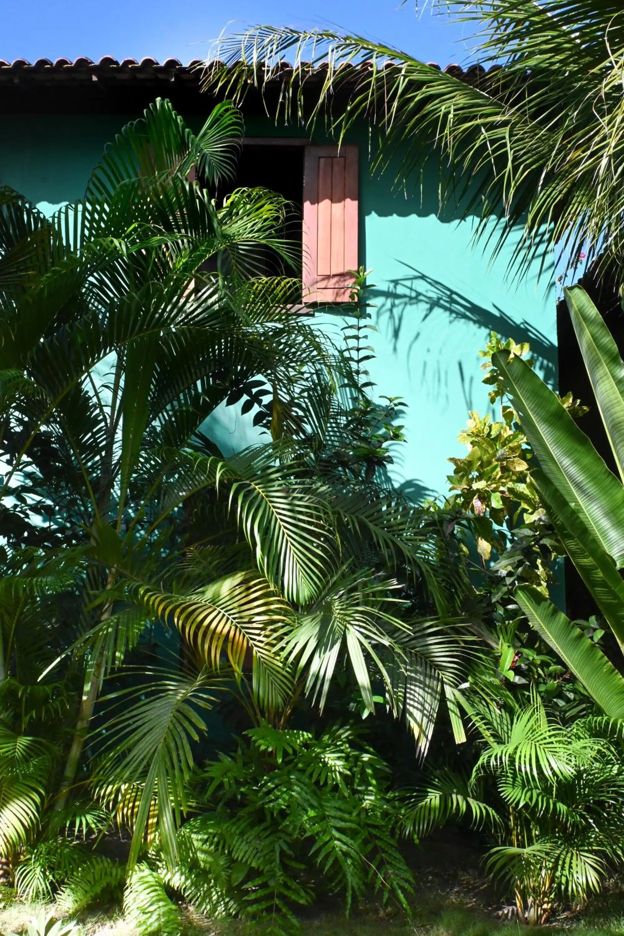 Garden in Pousada Habitat Caraíva