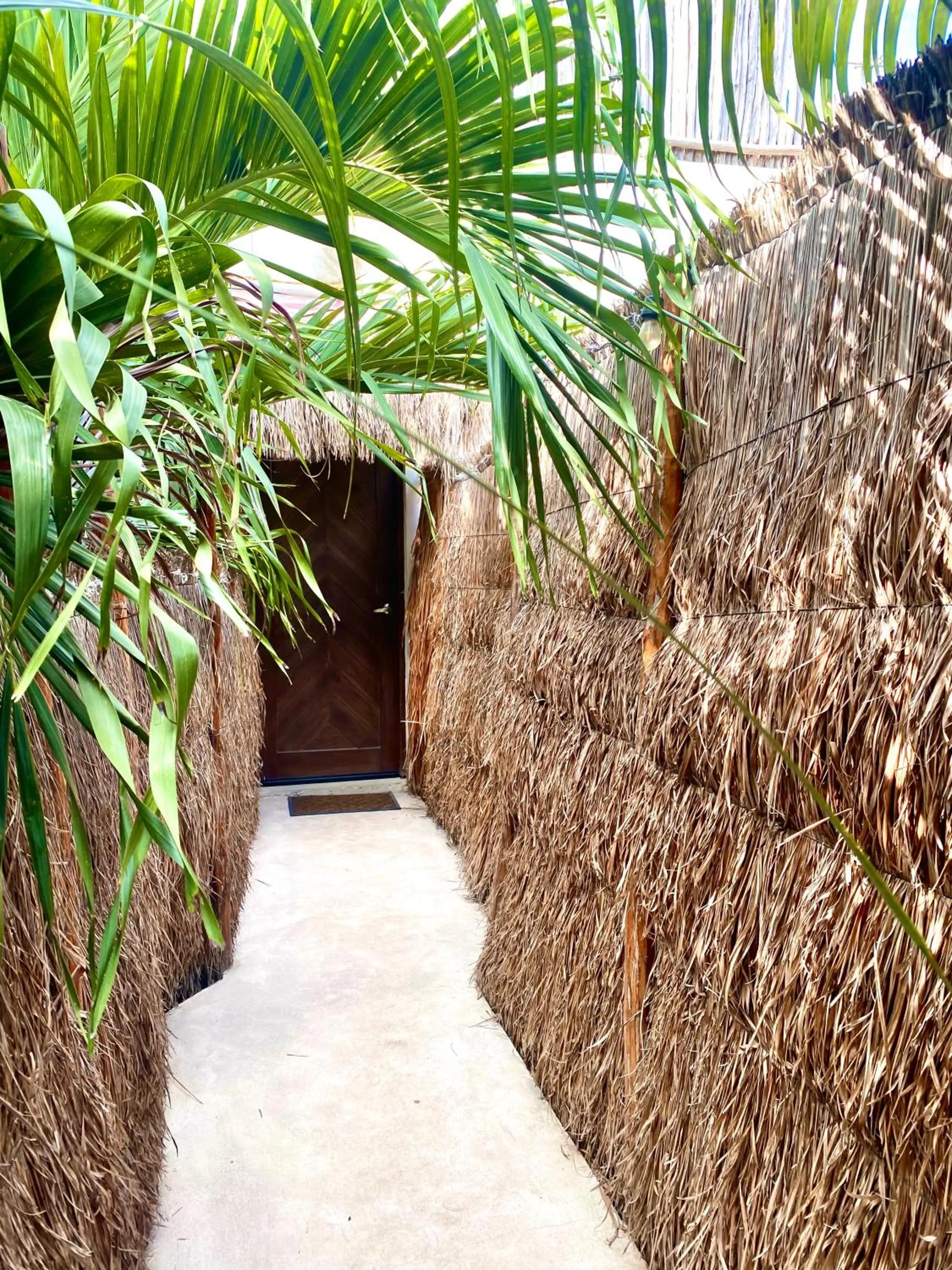 Facade/entrance in Pacha Tulum Boutique Hotel