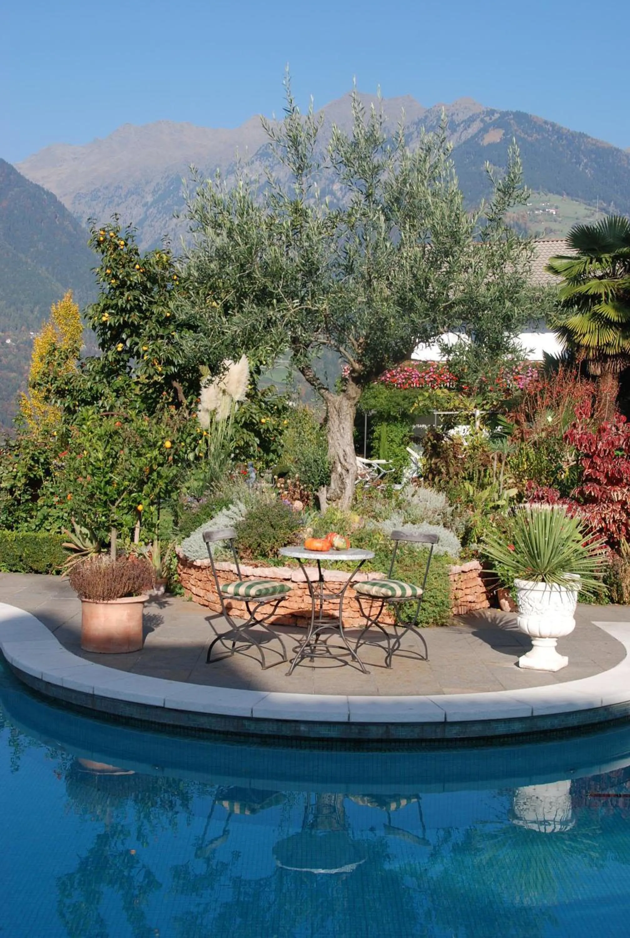 Garden in Hotel - Appartements Schmied Hans