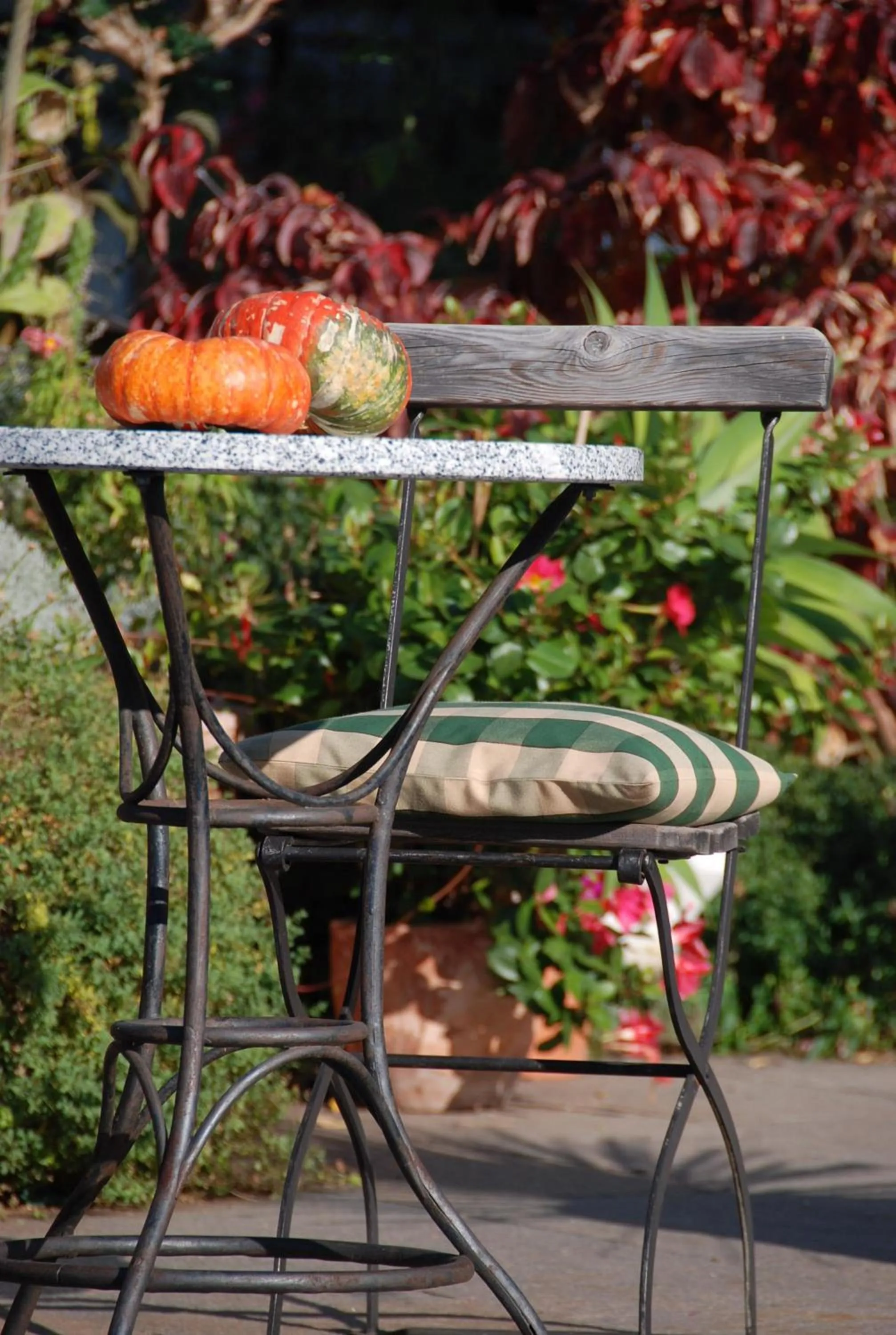 Garden in Hotel - Appartements Schmied Hans
