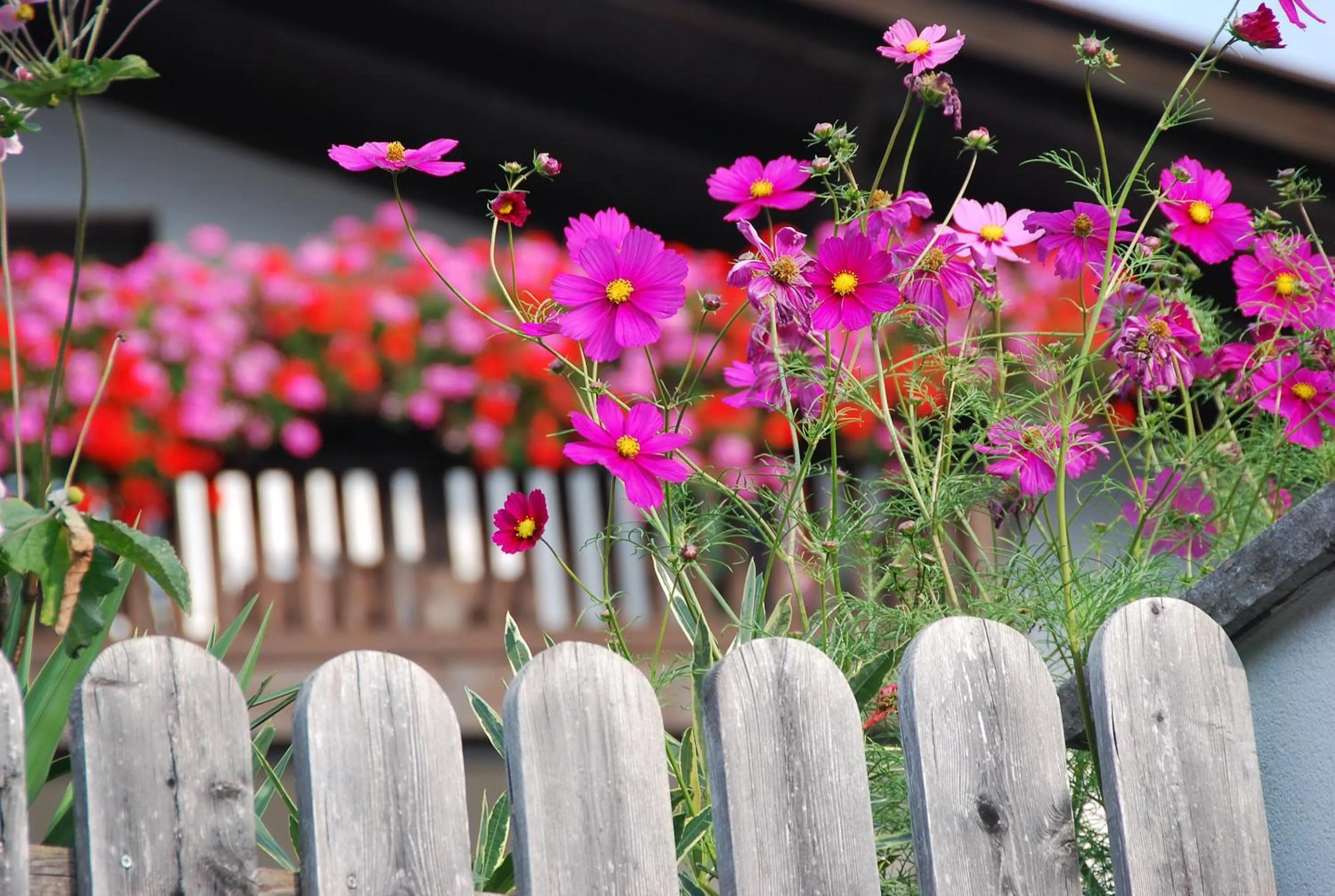 Day in Hotel - Appartements Schmied Hans