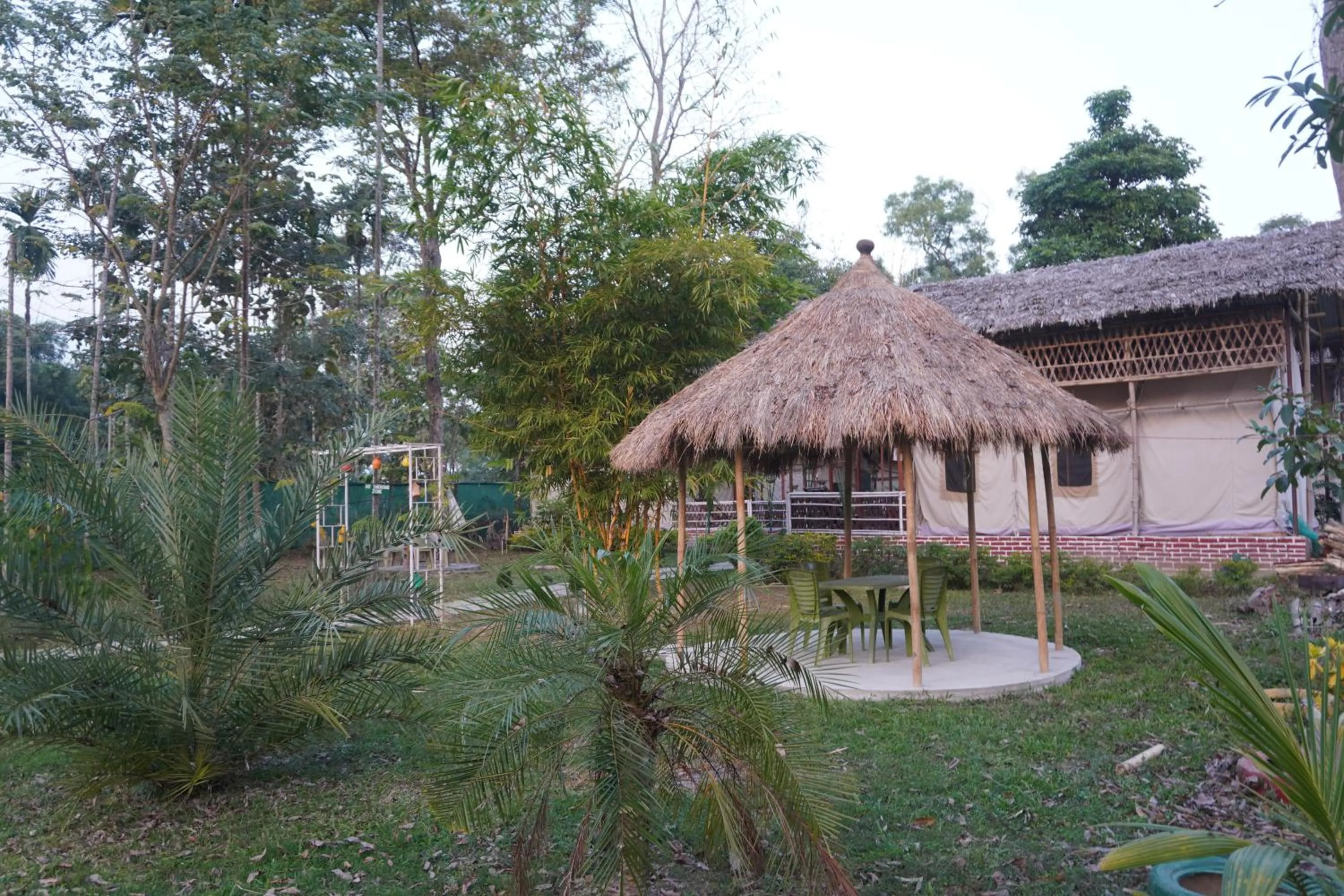 Garden in Kaziranga Eco Camp