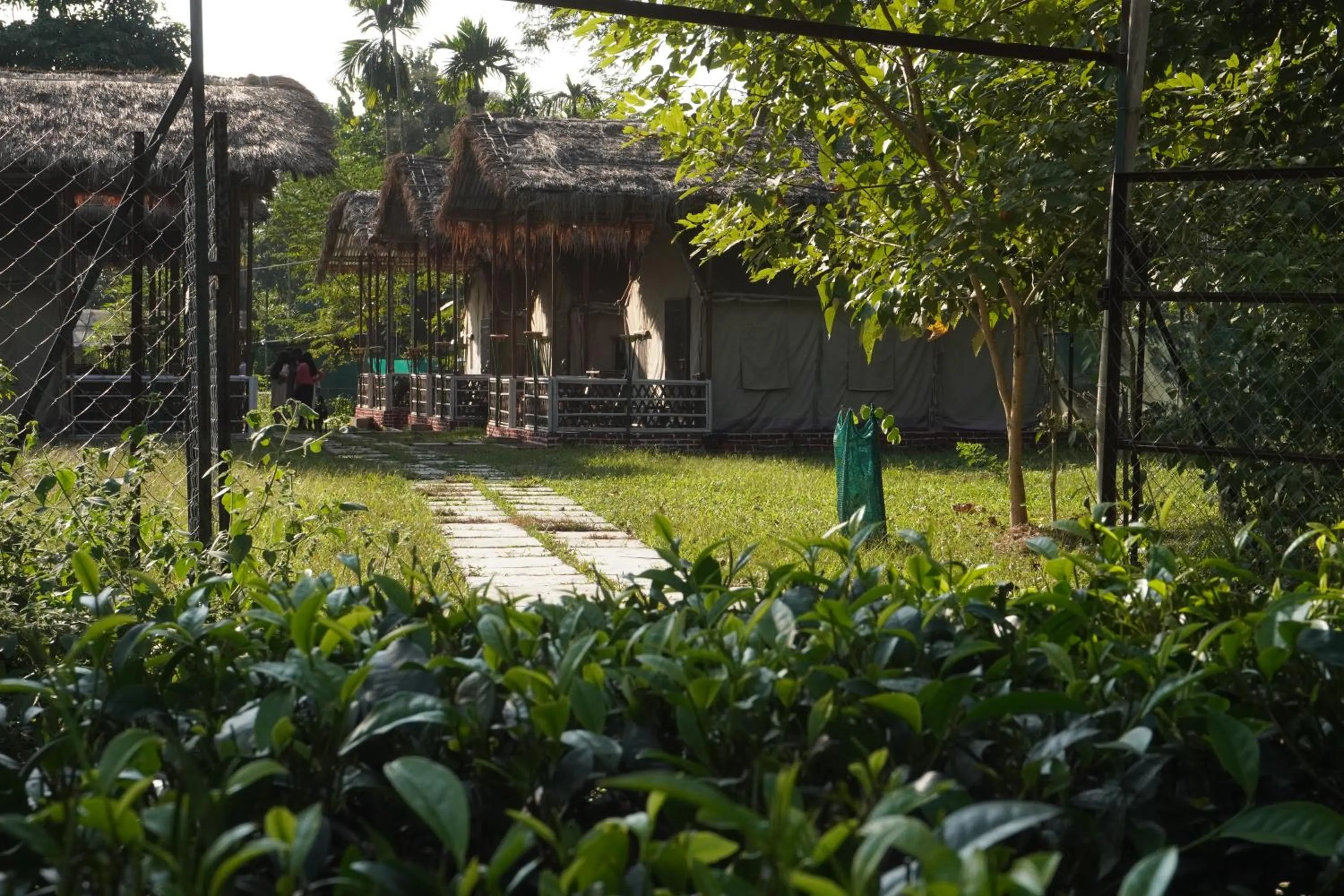 Garden view in Kaziranga Eco Camp