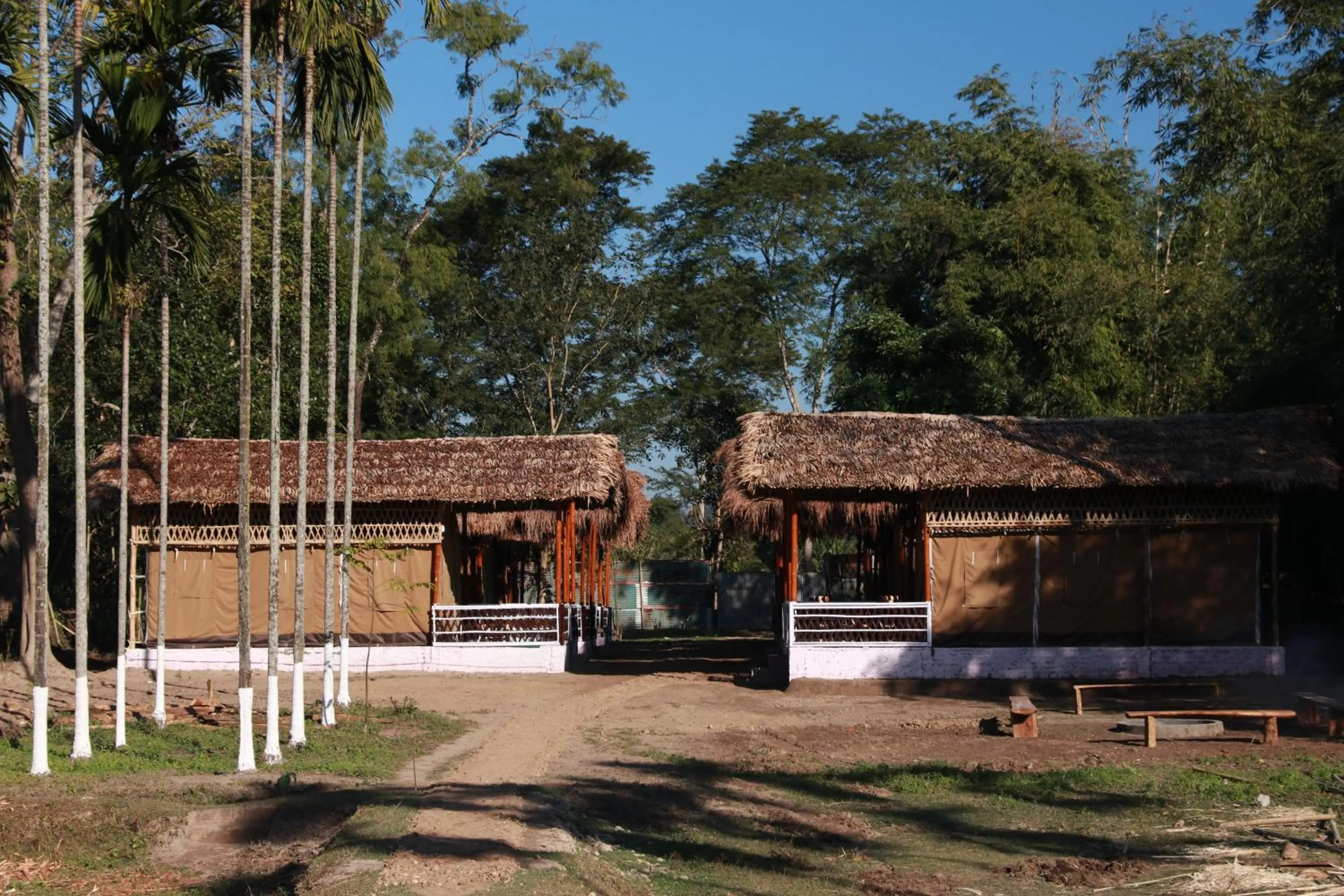 Property building in Kaziranga Eco Camp