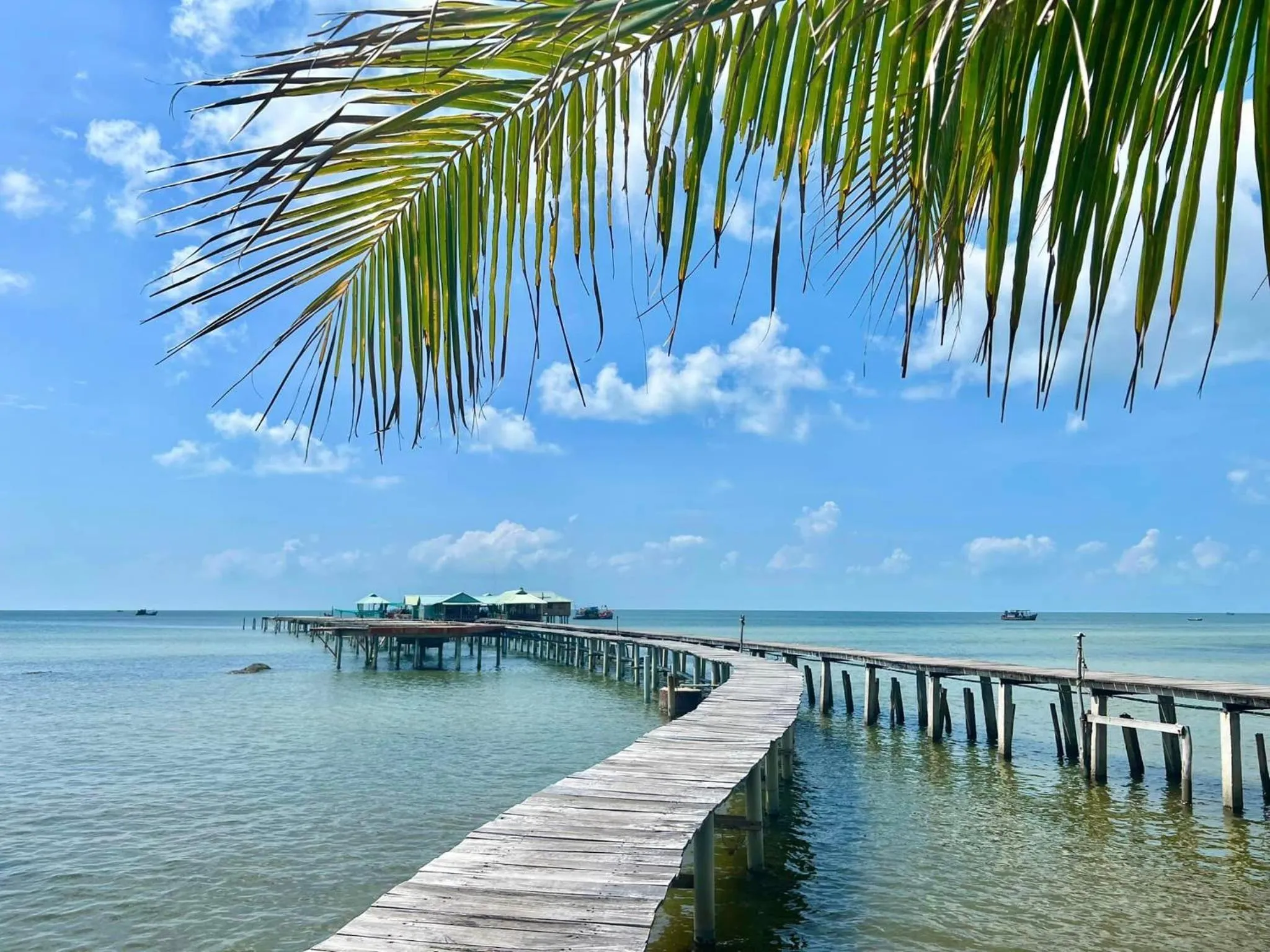 Natural landscape in Lotus Home