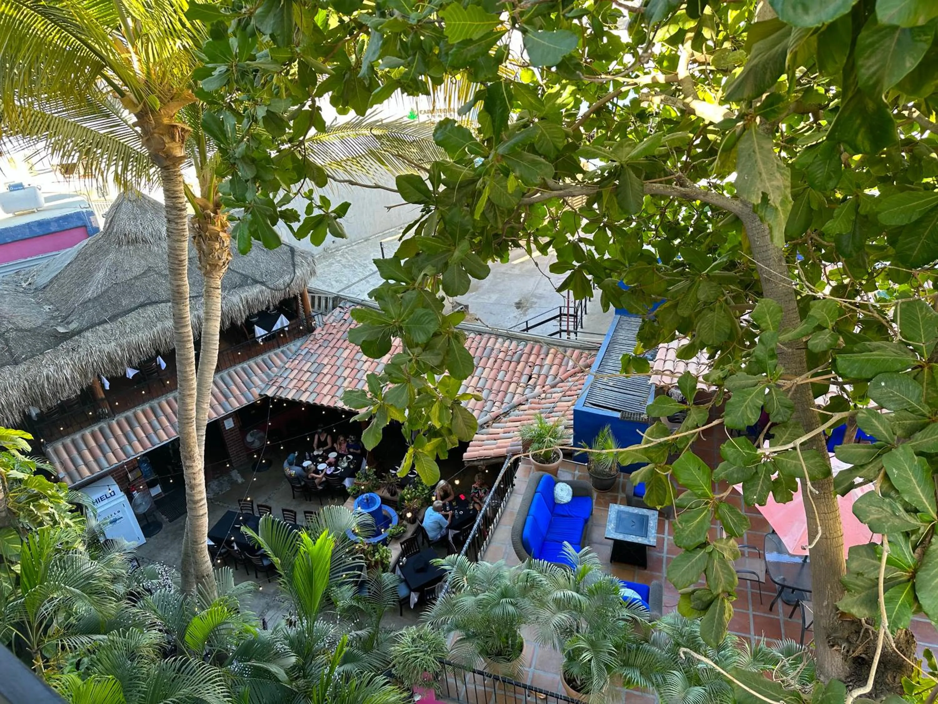 Restaurant/places to eat in Siesta Suites Boutique Hotel