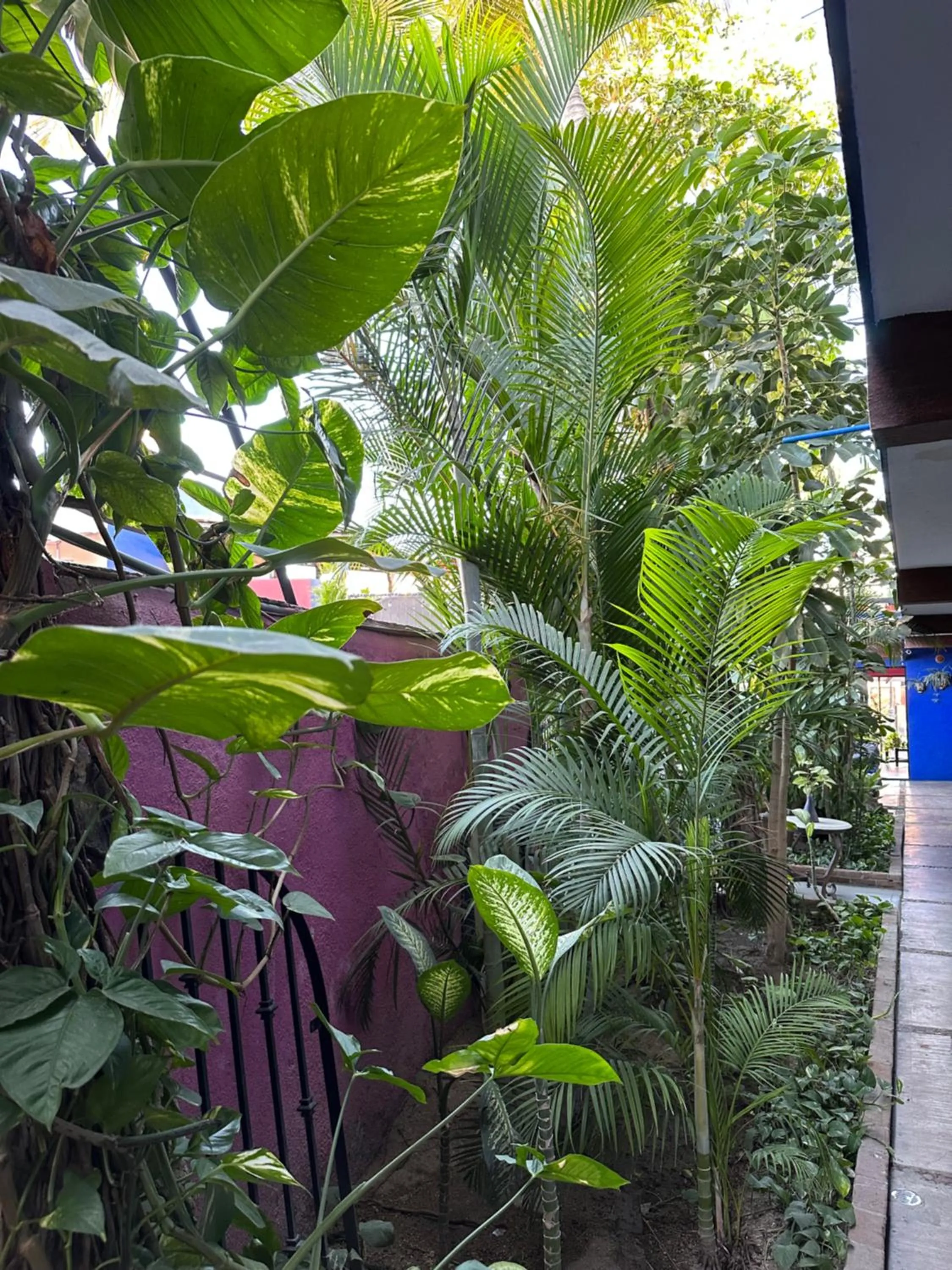 Natural landscape in Siesta Suites Boutique Hotel