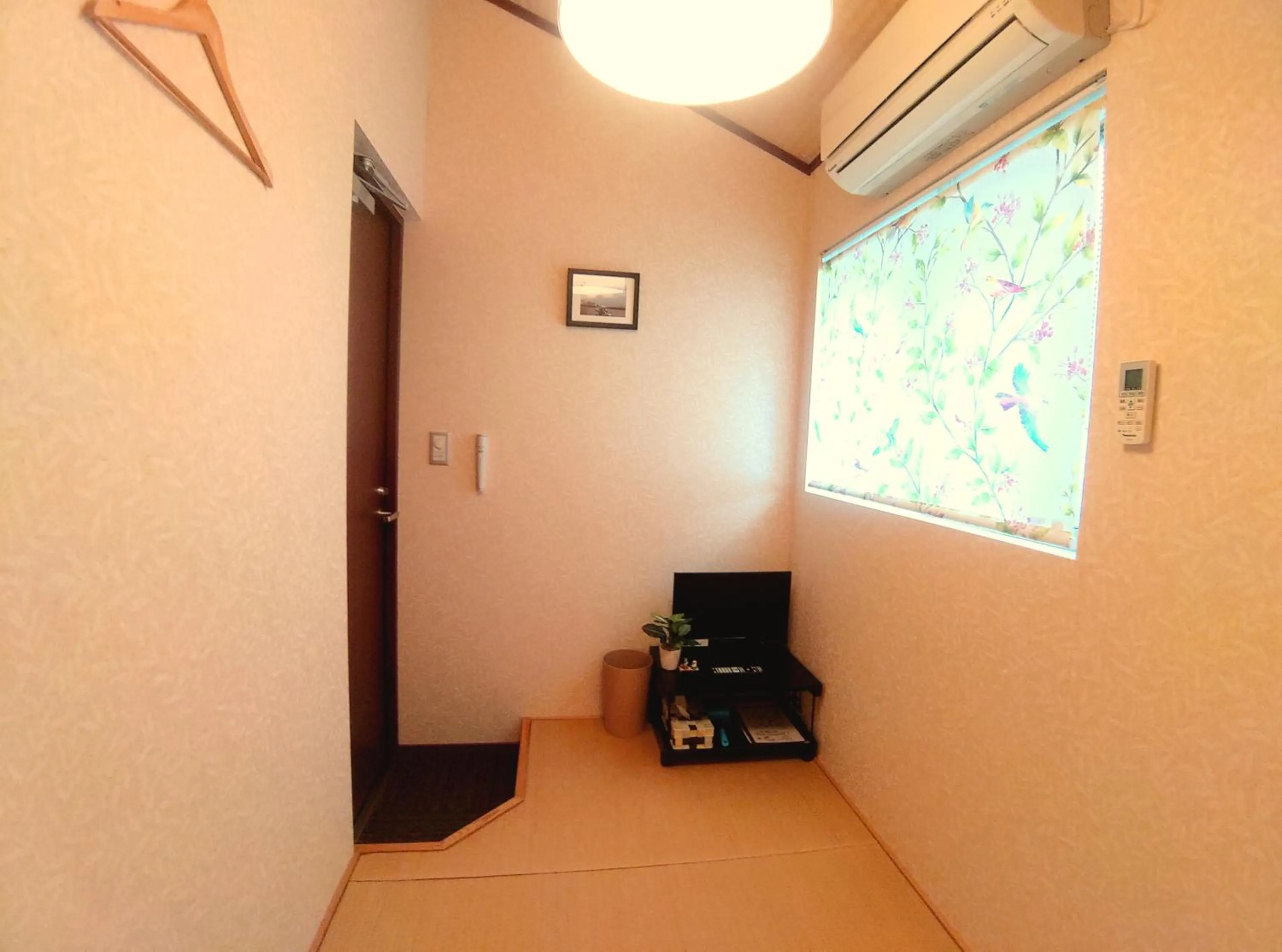 TV and multimedia in Woman Only Guesthouse Nanohana (Female only)